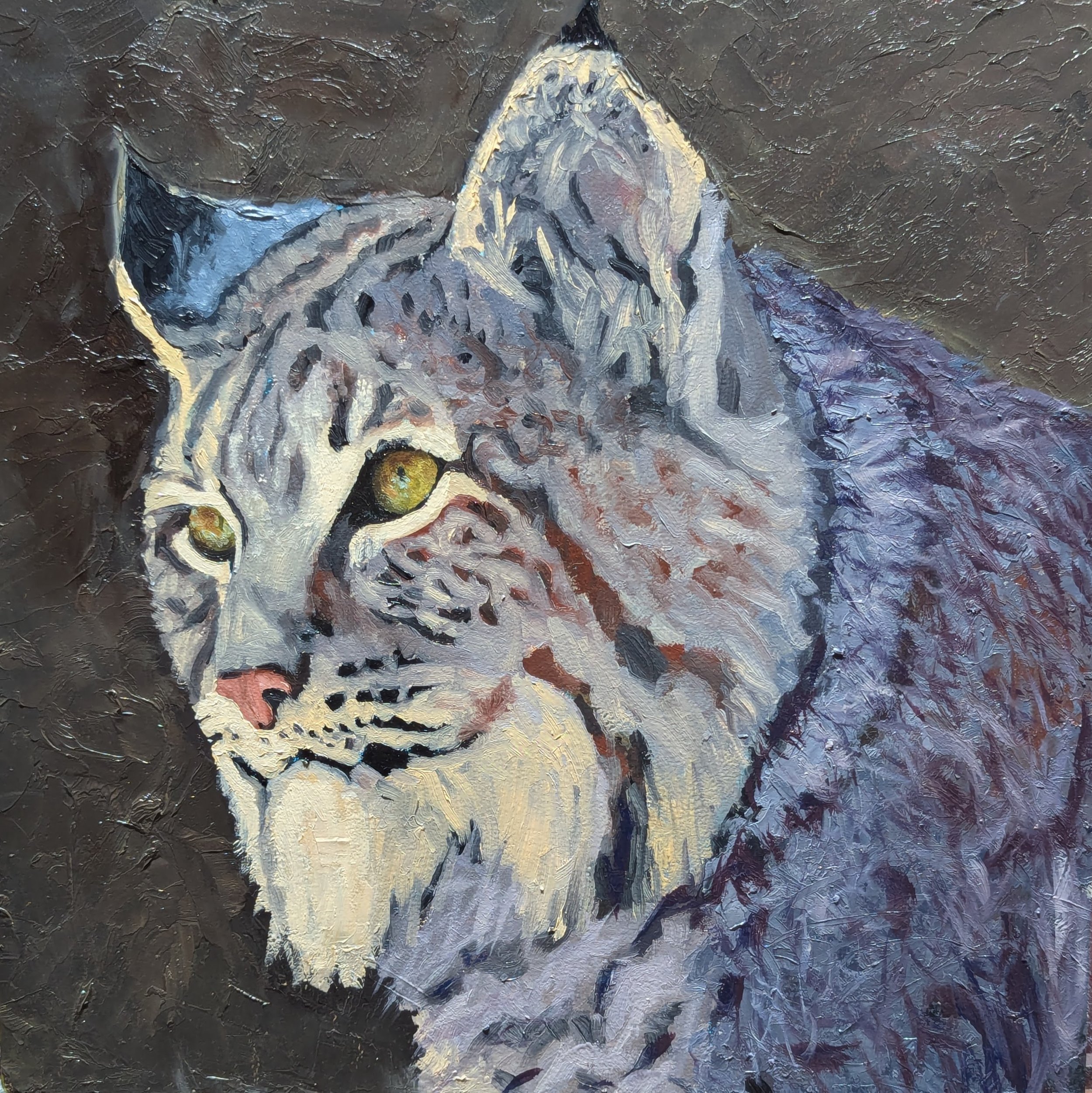 The Gaze (Bobcat) by Jason E. Doucette