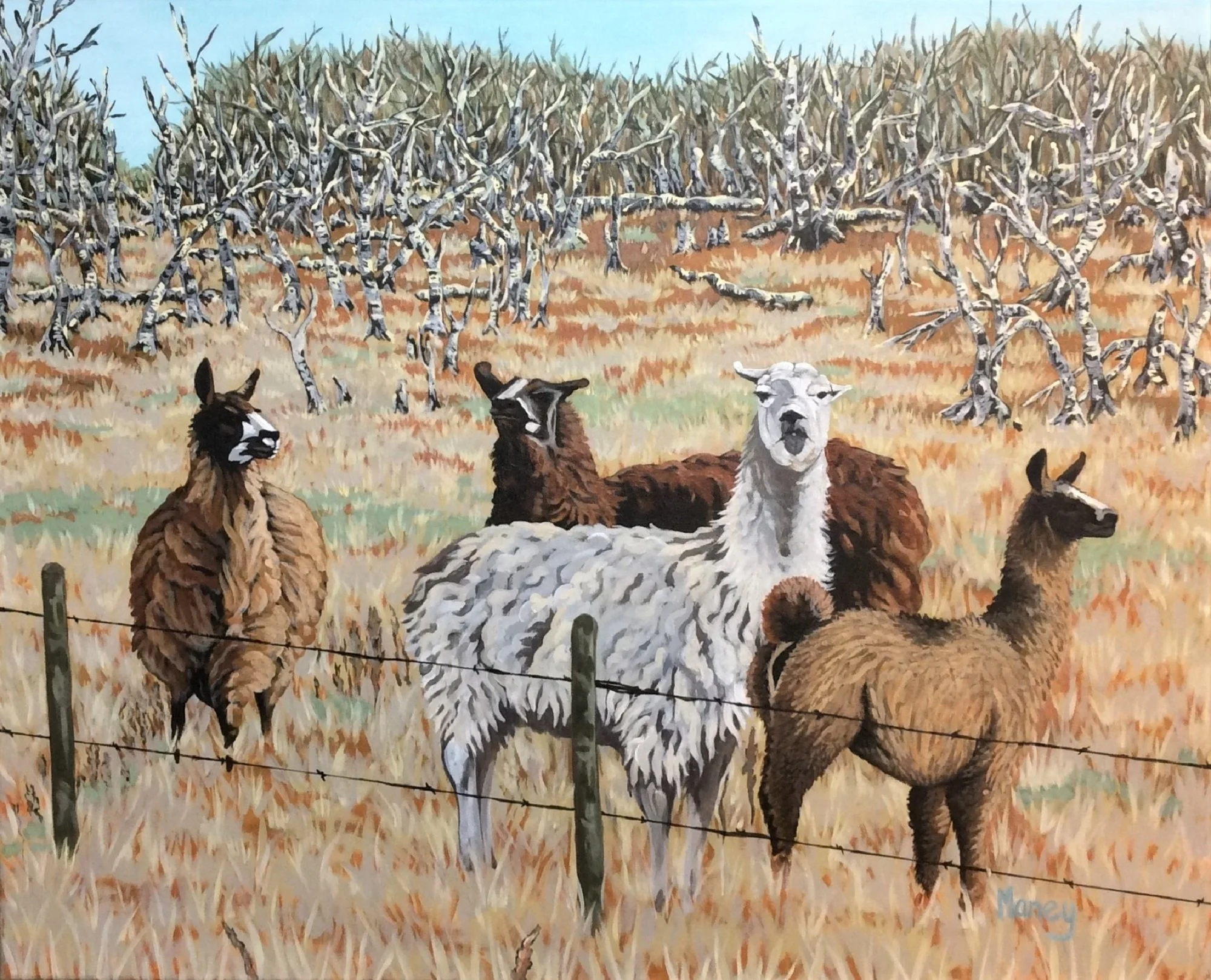 Llama"s From Another Mama by Olivia Maney