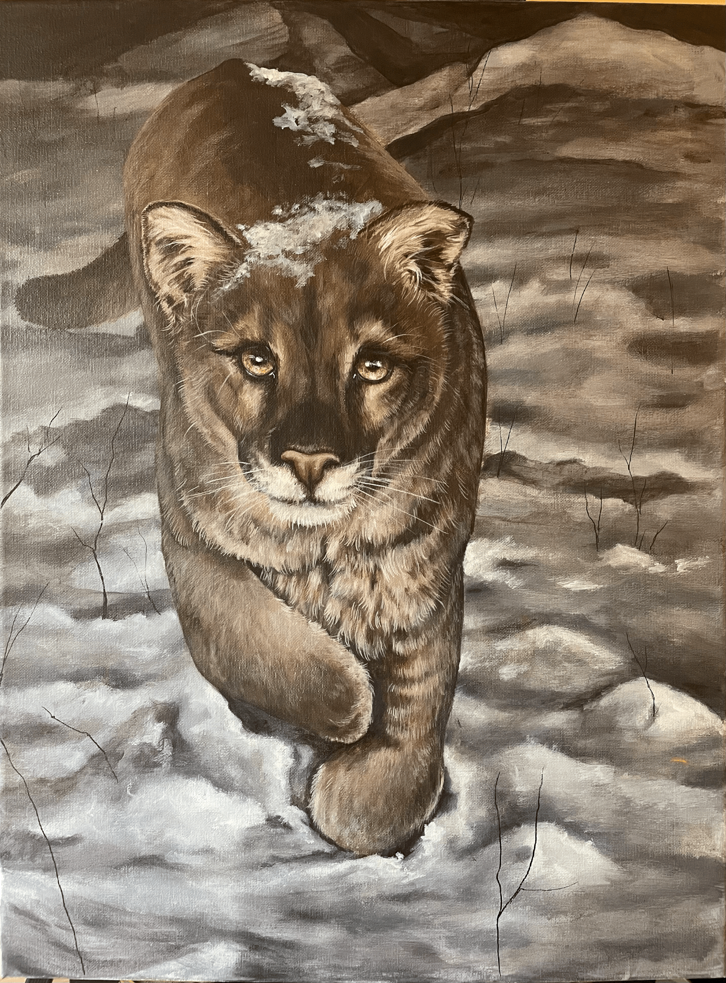 tempImagewiu5aO.gif (Copy)