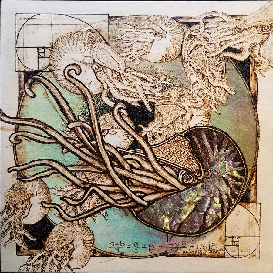 Divine Geometry - Fibonacci Senquence Is Nautali_web.jpg