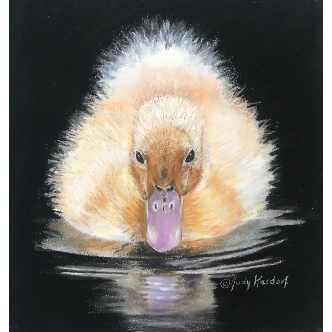 A Bit of Fluff by Judy Kasdorf