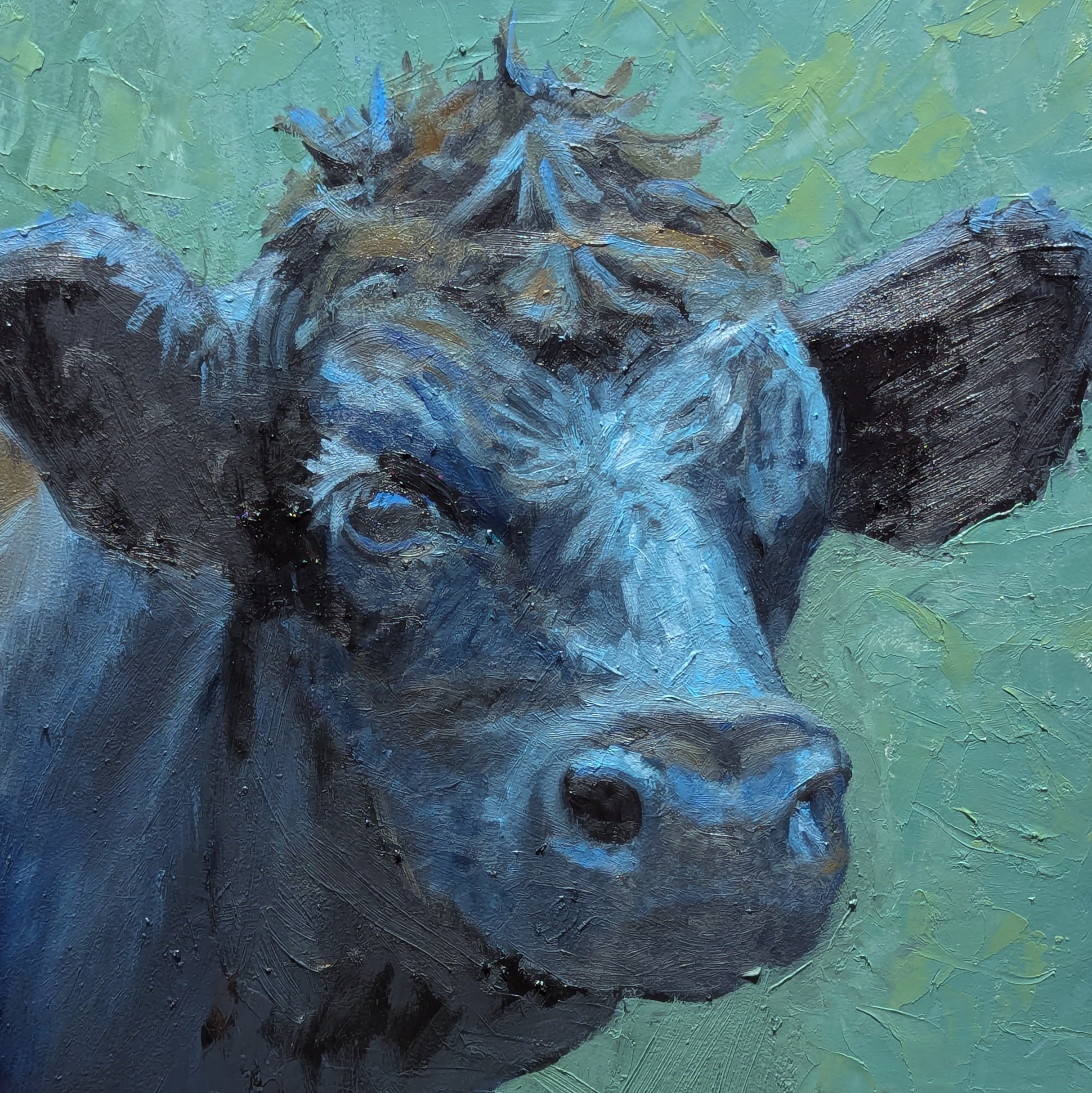 Curious Moo by Jason E. Doucette