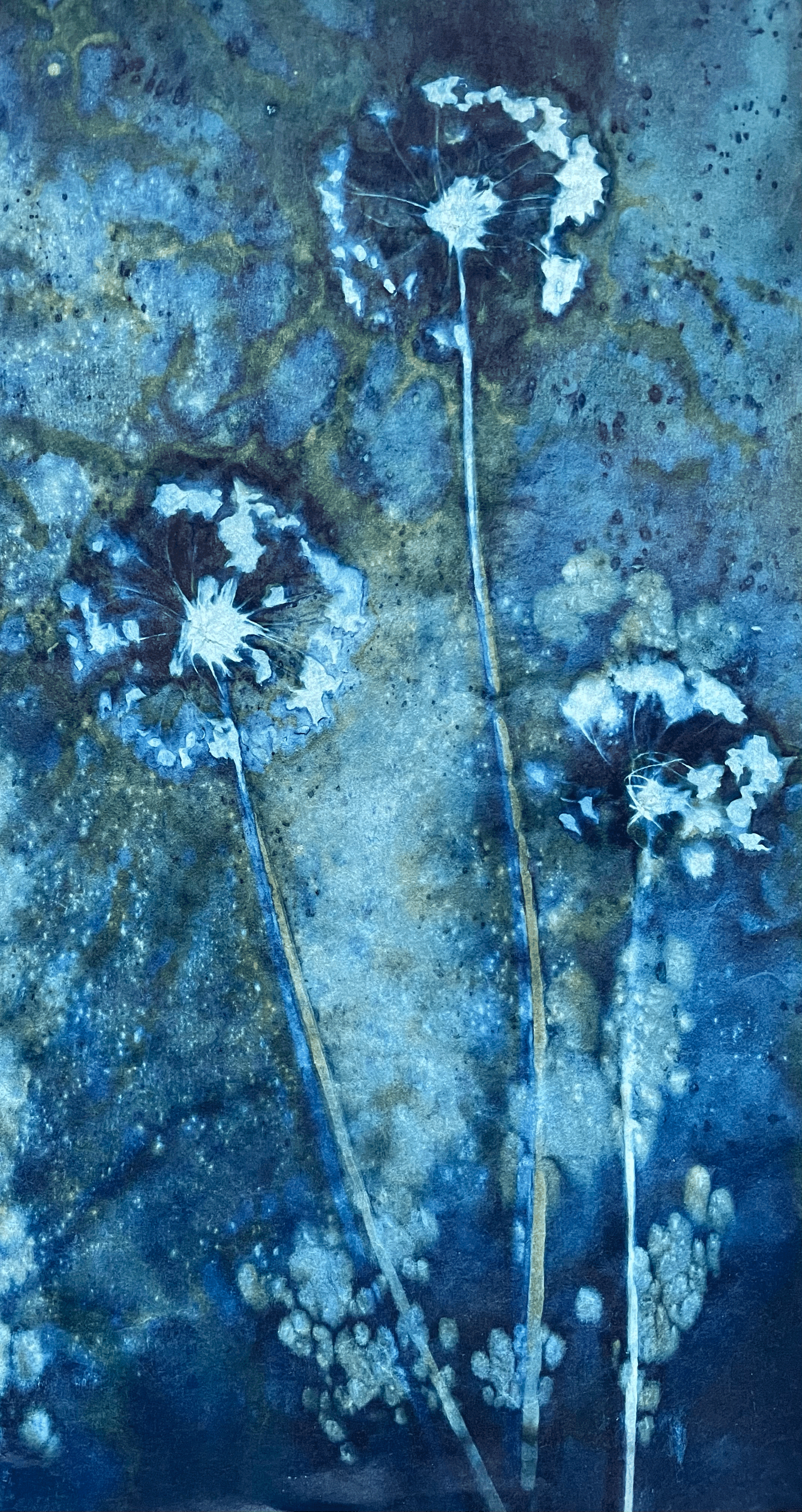 Allium 1 by Ann Poggemiller