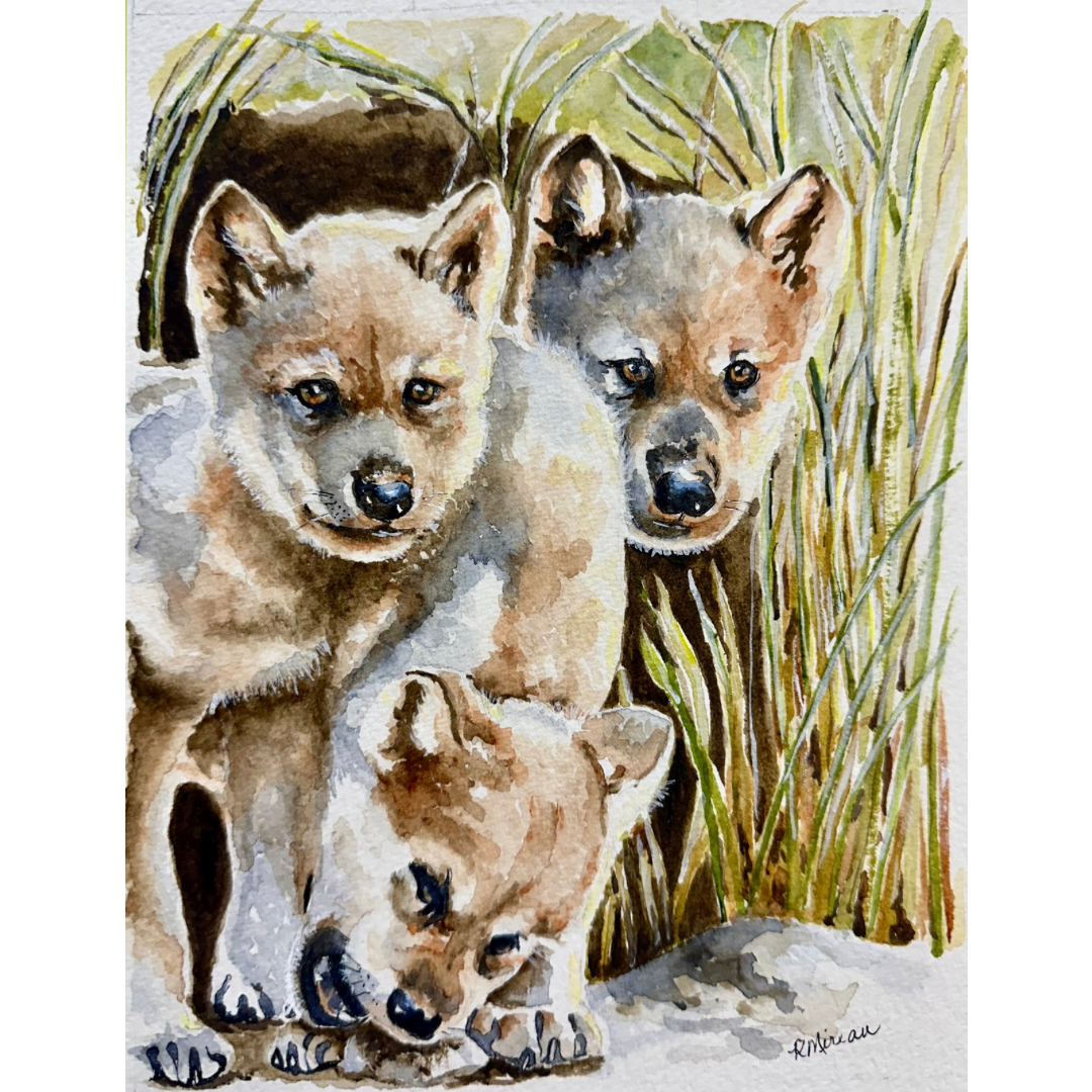 Three's Company by Ruth Mireau
