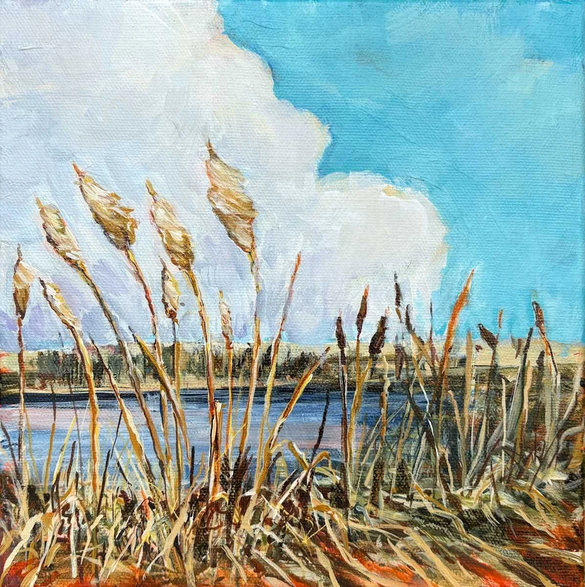 094DB98B-8750-4779-97EC-AEA10A71F209.jpeg (Copy) (Copy)