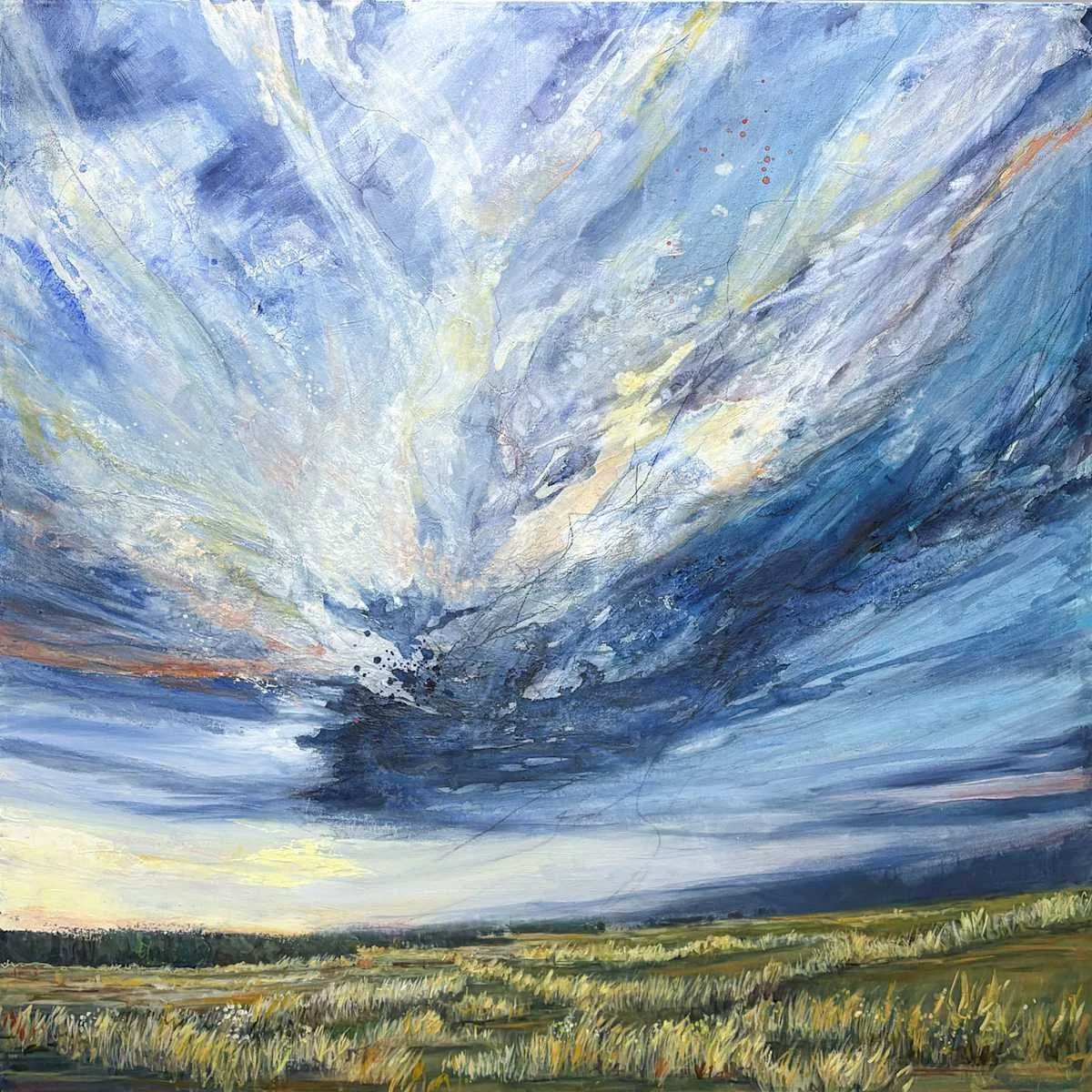 6A083209-B9CA-4893-BAAE-BBC1670743E9.jpeg (Copy) (Copy) (Copy)