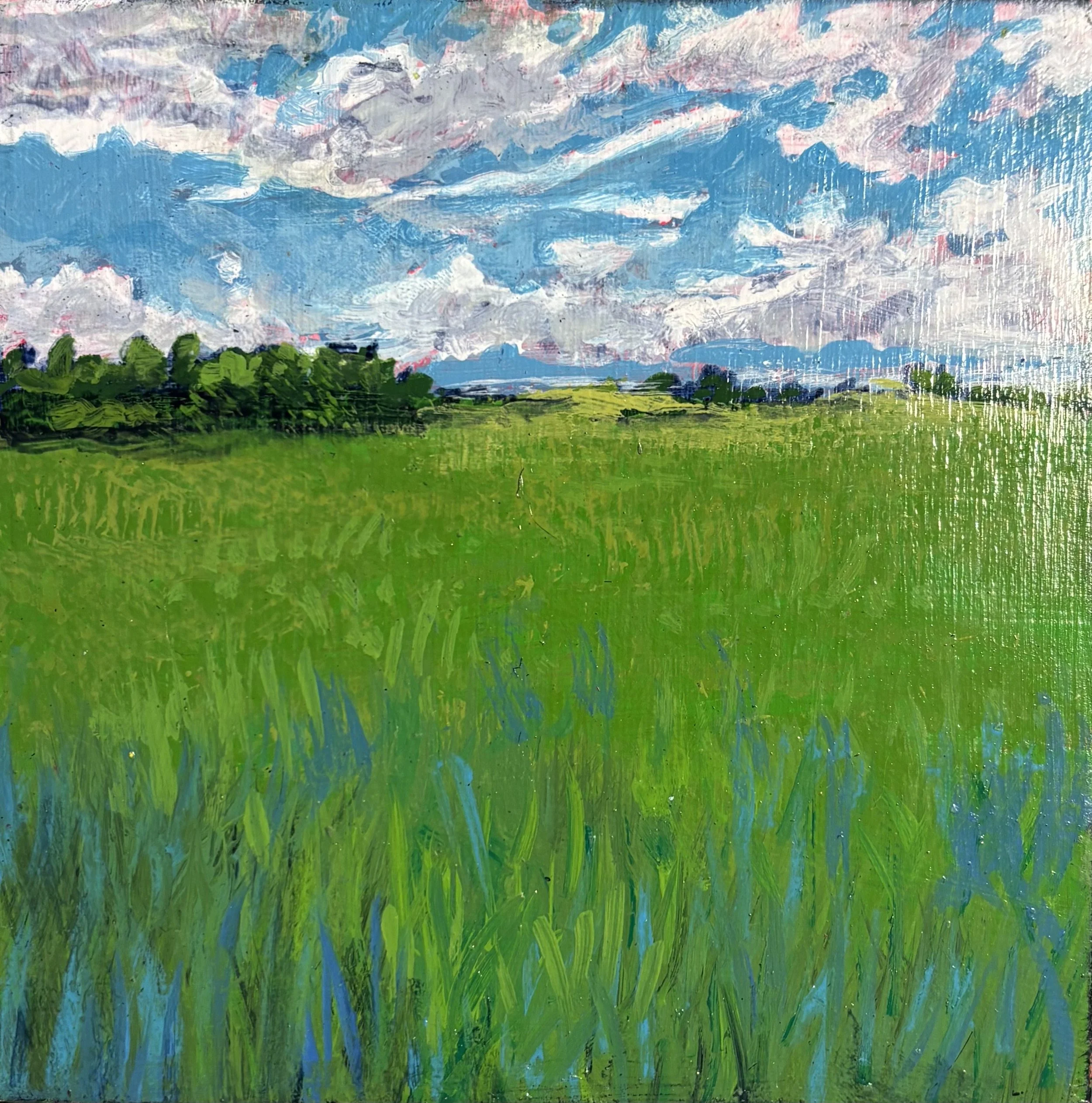 2D587A95-98A3-4E28-81F3-27680C014109.jpeg (Copy) (Copy) (Copy) (Copy)