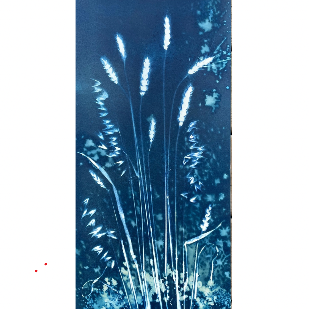 49A89561-AFEA-46CE-A428-632FFFBA26F3.png (Copy) (Copy)