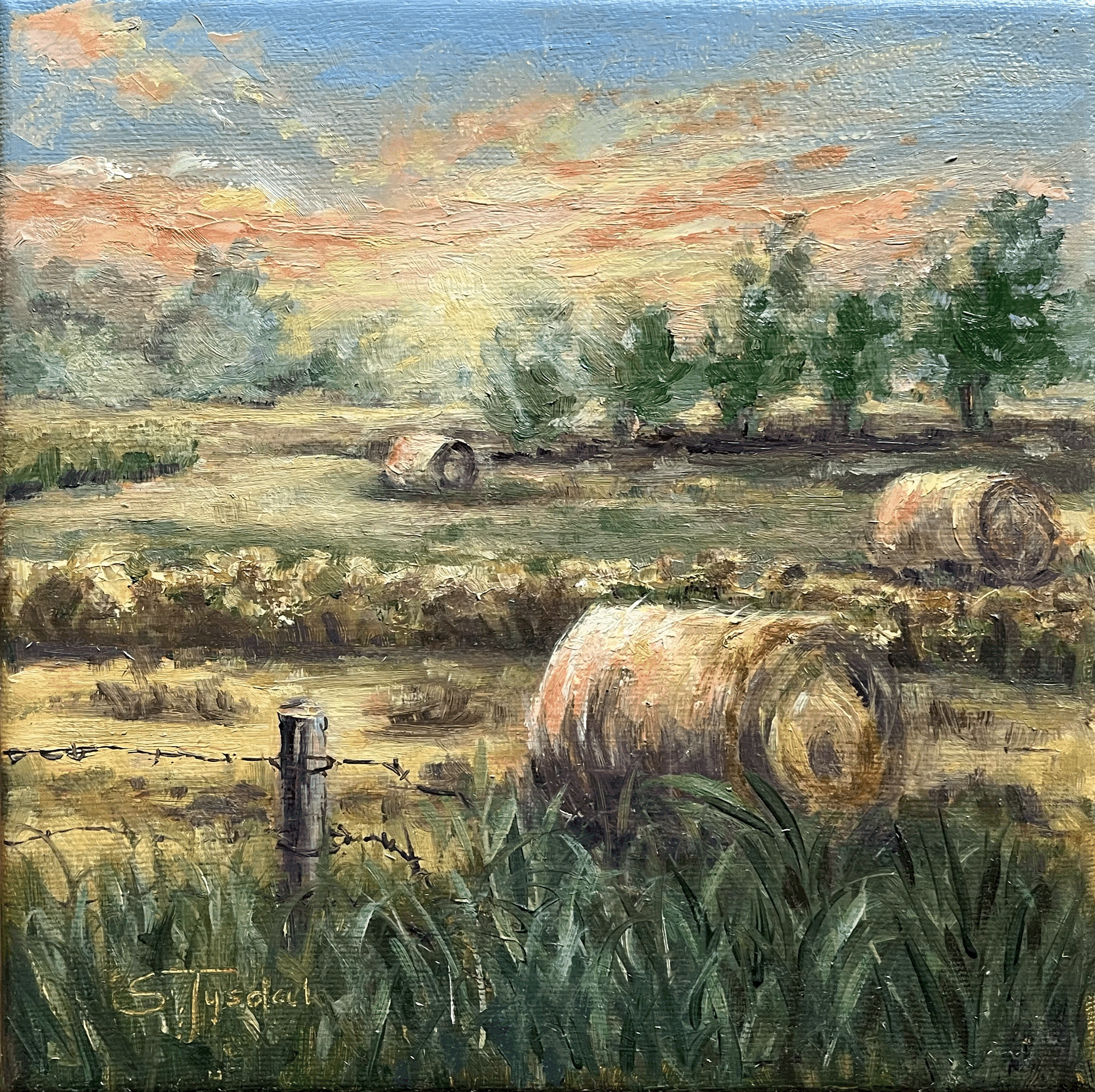 Sunset Field by Sheila Tysdal