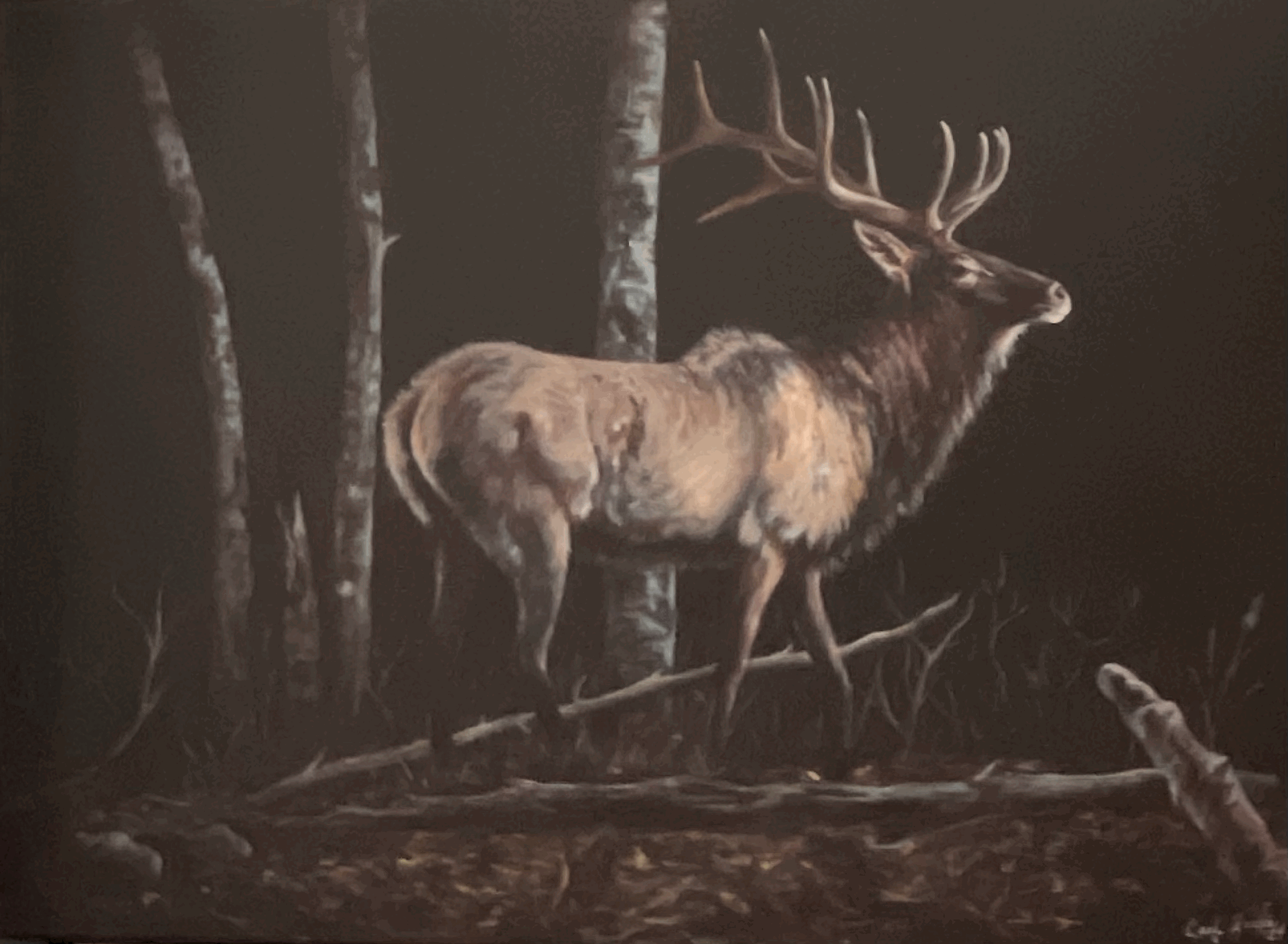 tempImageS0oG67.gif (Copy) (Copy)