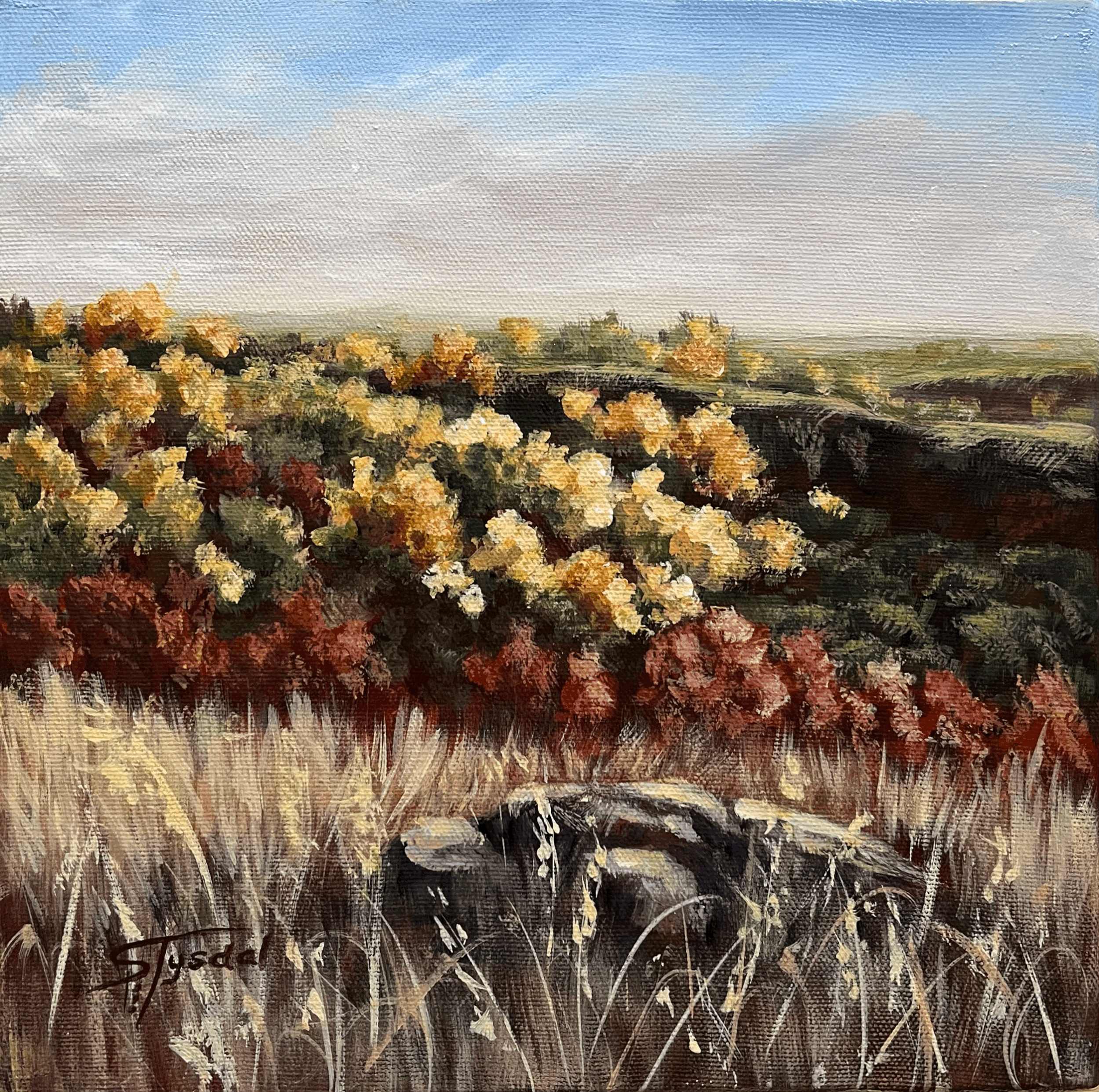 Hill View by Sheila Tysdal