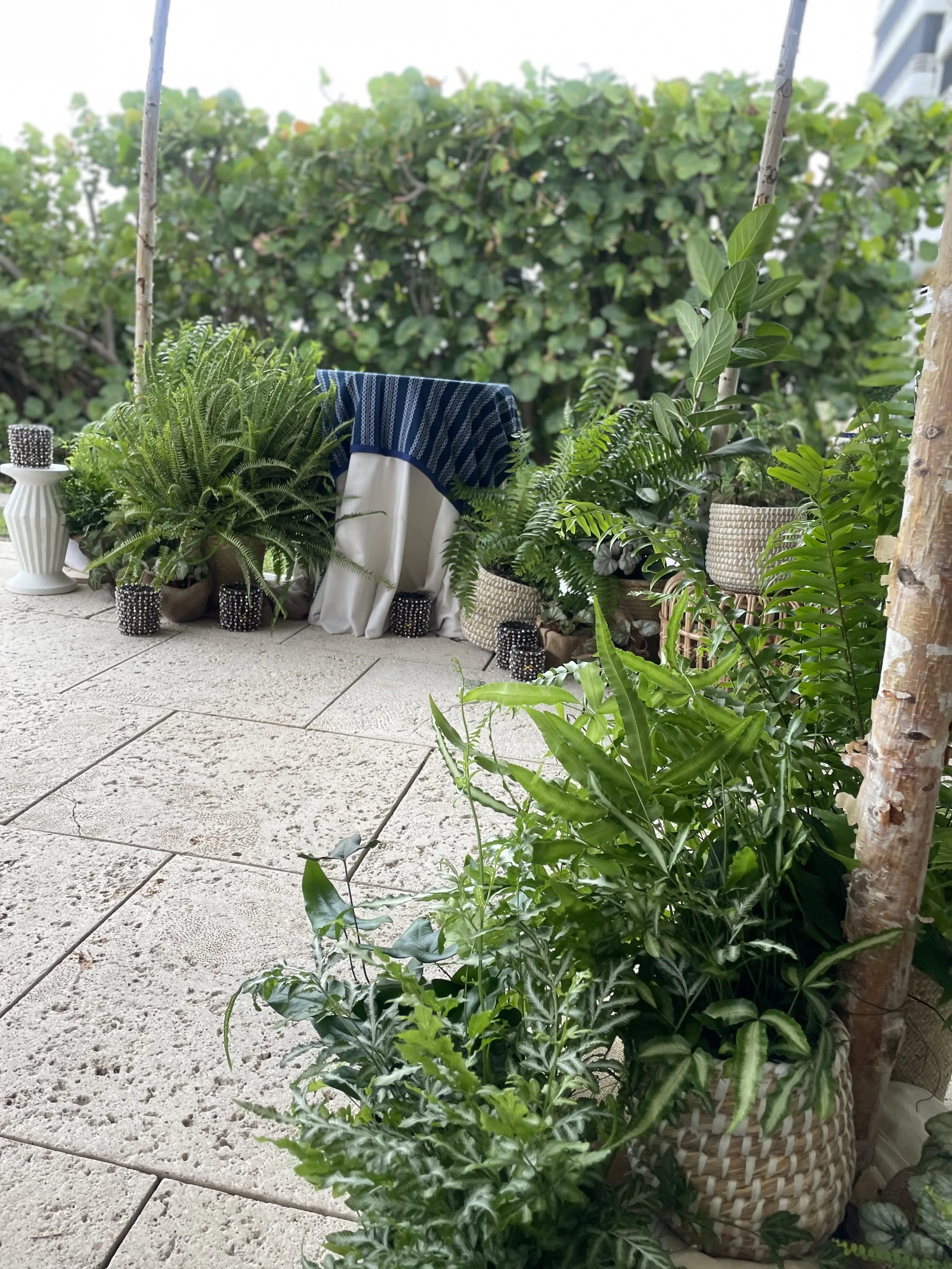 Photo Aug 17 2024, 6 30 37 PM.jpg