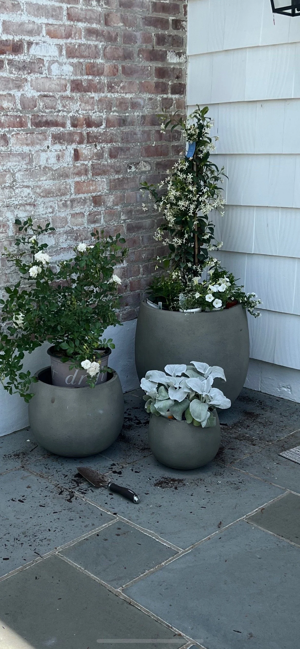 View recent photos.jpeg