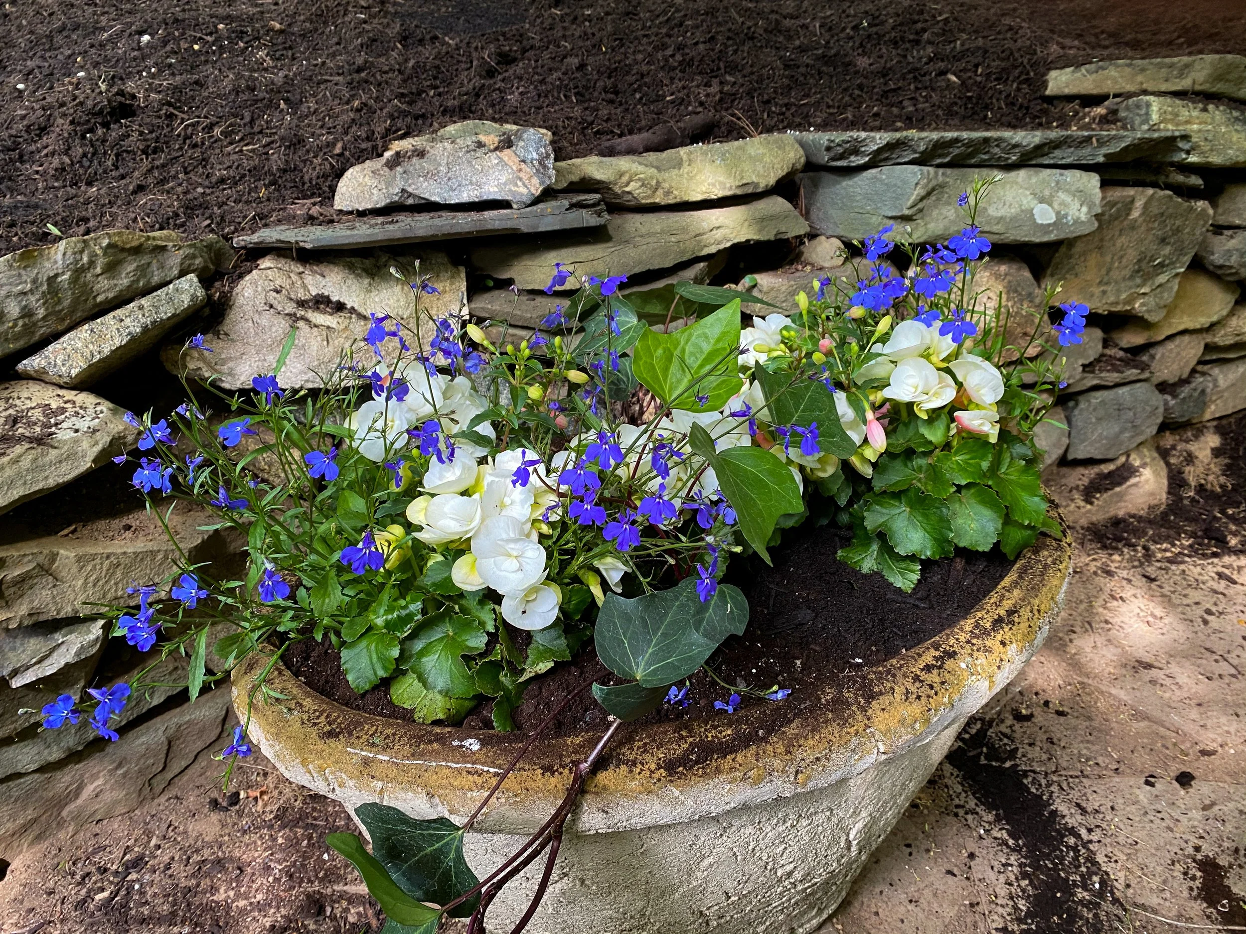 ironwood_garden18.jpg