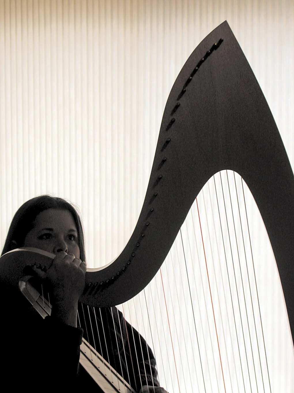 PHOTO_harp.jpg