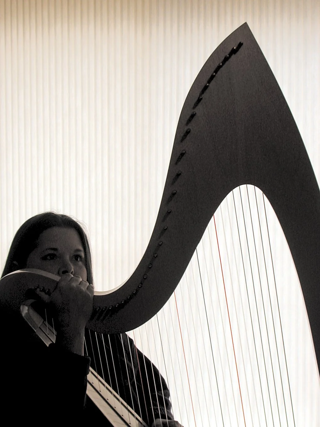 PHOTO_harp.jpg