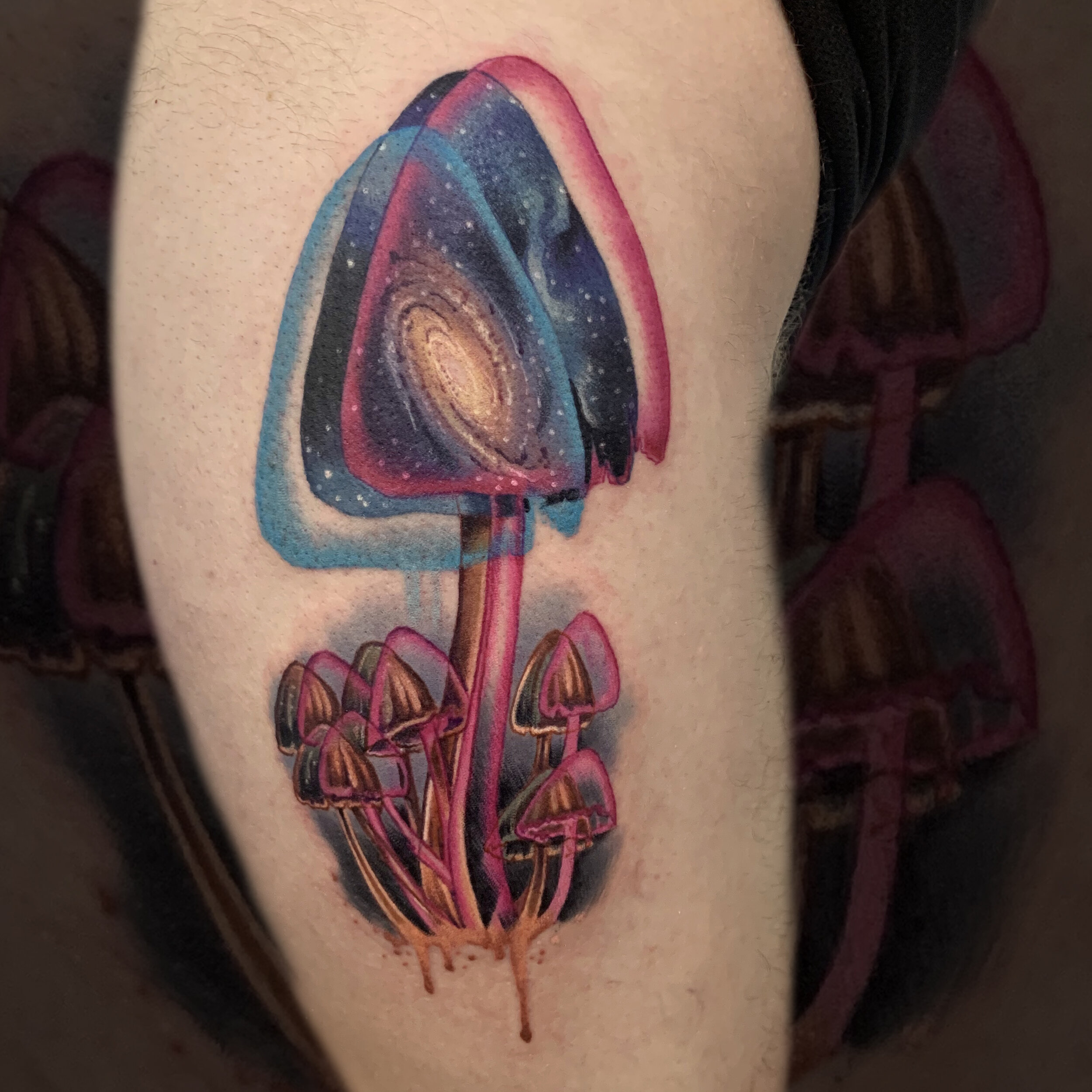 TrippyMushroom.jpg