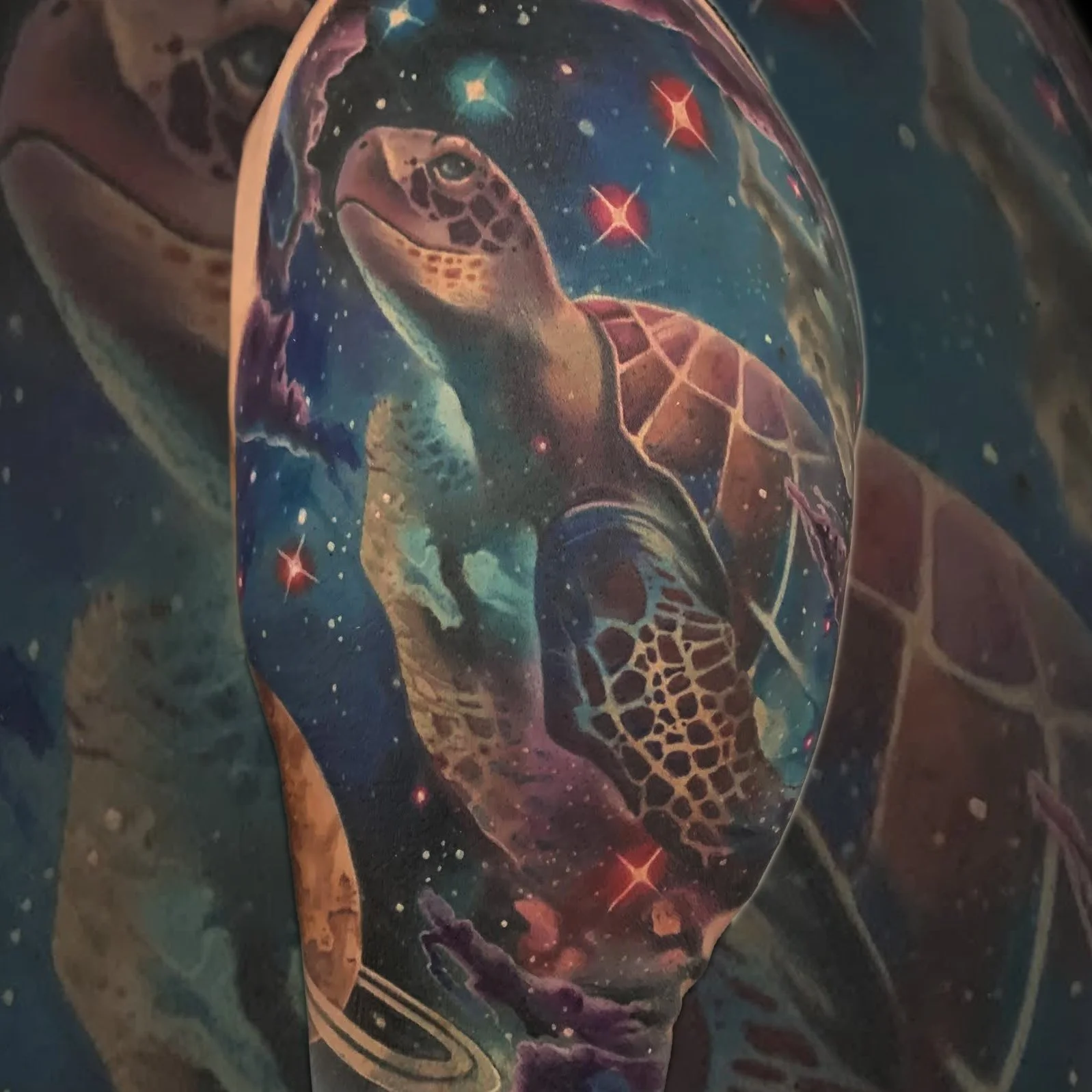 TurtleEmily.jpg