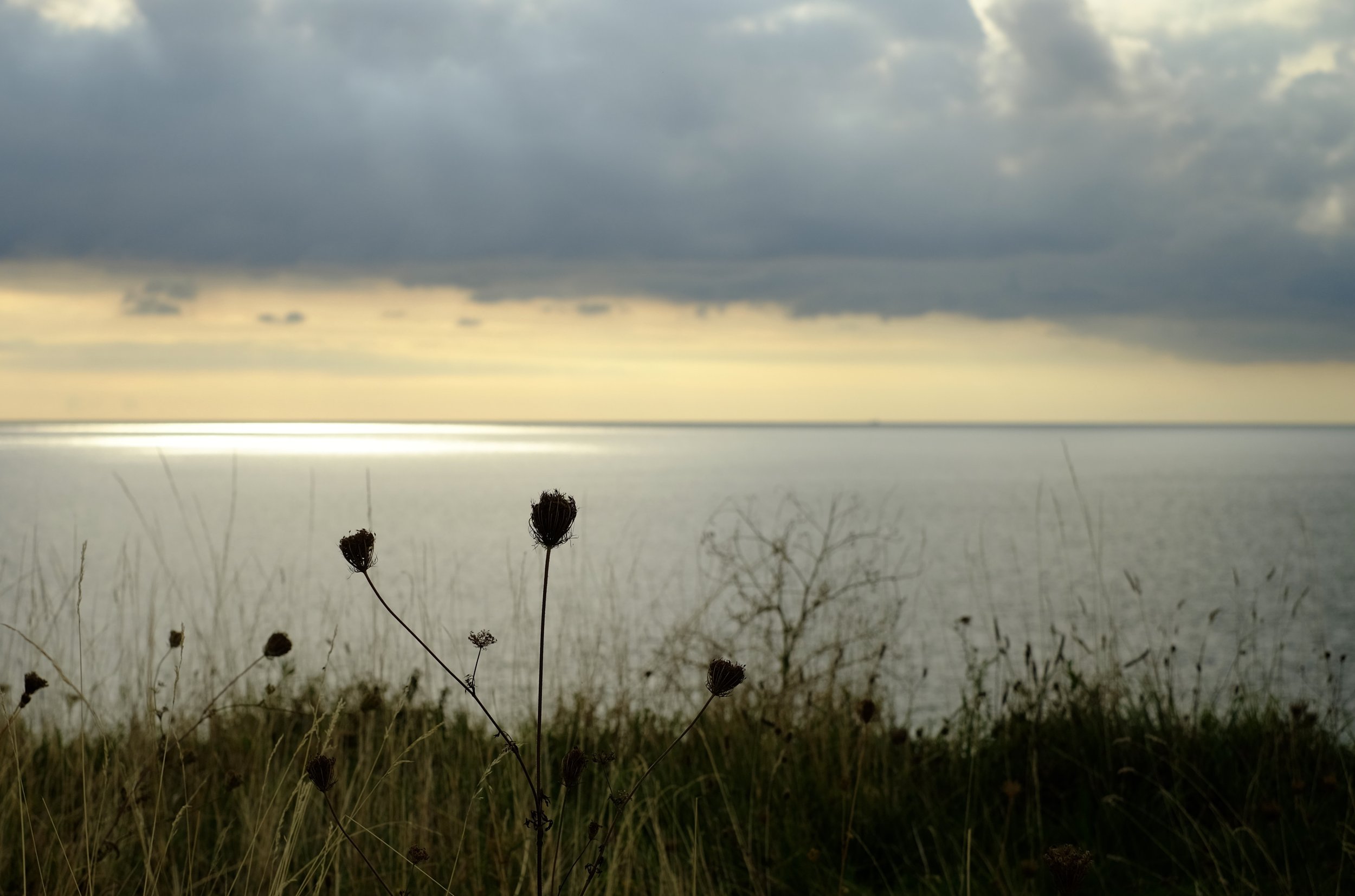 A2072E0E-B261-4A82-B41D-30ED7398C649_1_201_a.jpeg