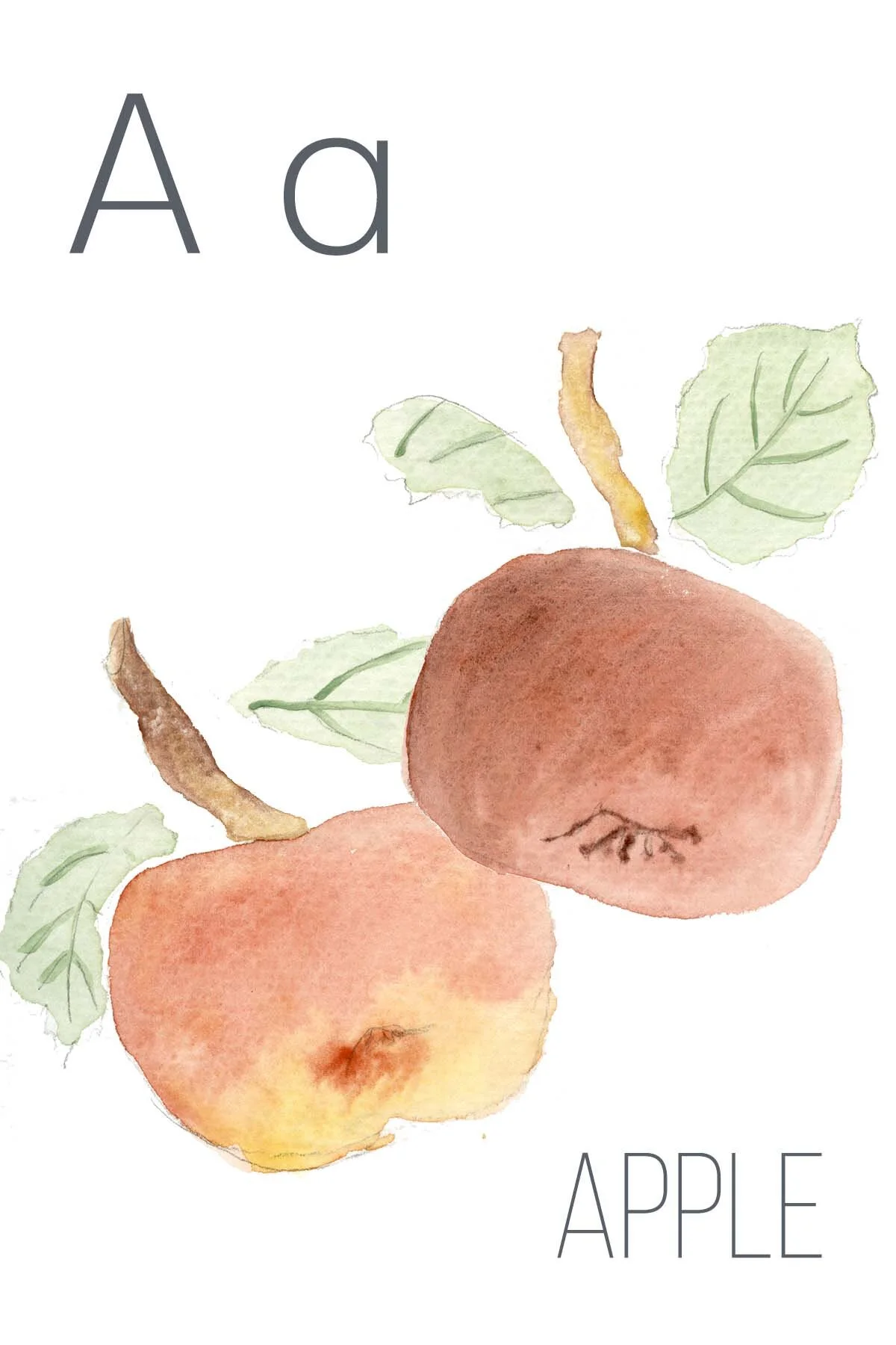 A- Apple Web.jpg
