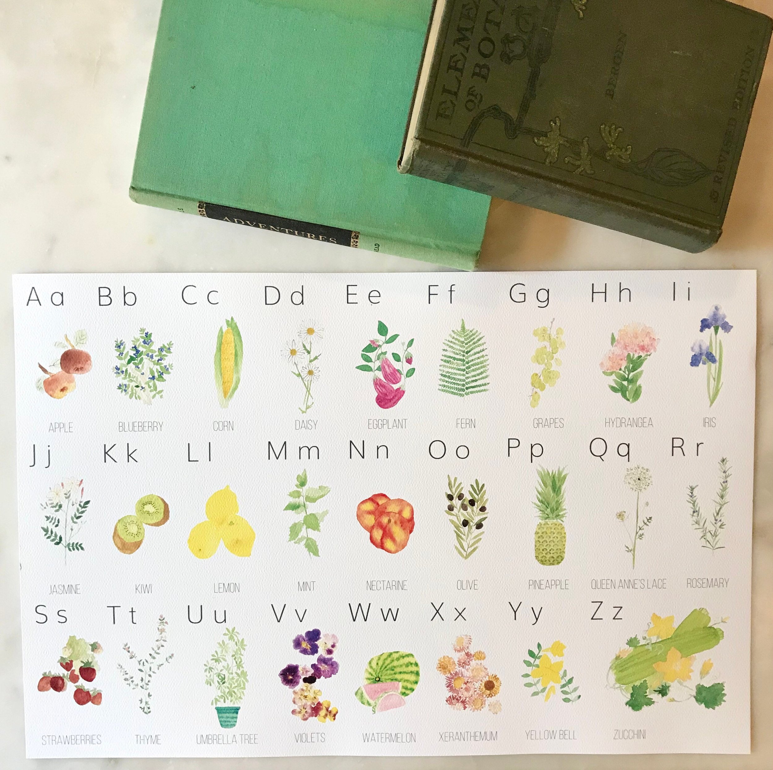 https://i.etsystatic.com/7623809/r/il/54692e/2386591646/il_fullxfull.2386591646_o3r3.jpg