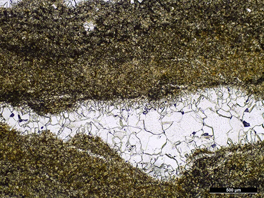 Birdseye in stromatolitic limestone, Glen Rose Formation (Albian, Early Cretaceous), Boerne, Texas, plane polarized light.