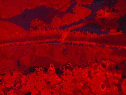 Skeletal packstone (limestone) with phosphatic matrix, bivalves allochems, glauconite, dolomite and quartz crystals. Altmann Member (late Hauterivian-early Barremian, Early Cretaceous), Pilatus, Switzerland, cathodoluminescent light.