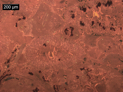 Skeletal grainstone in the Corbula Bed of the Glen Rose Formation (Albian, Early Cretaceous), Boerne, Texas, cathodoluminescent light.