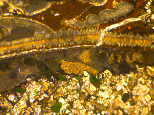 Skeletal packstone (limestone) with phosphatic matrix, bivalves allochems, glauconite, dolomite and quartz crystals. Altmann Member (late Hauterivian-early Barremian, Early Cretaceous), Pilatus, Switzerland, plane polarized light.