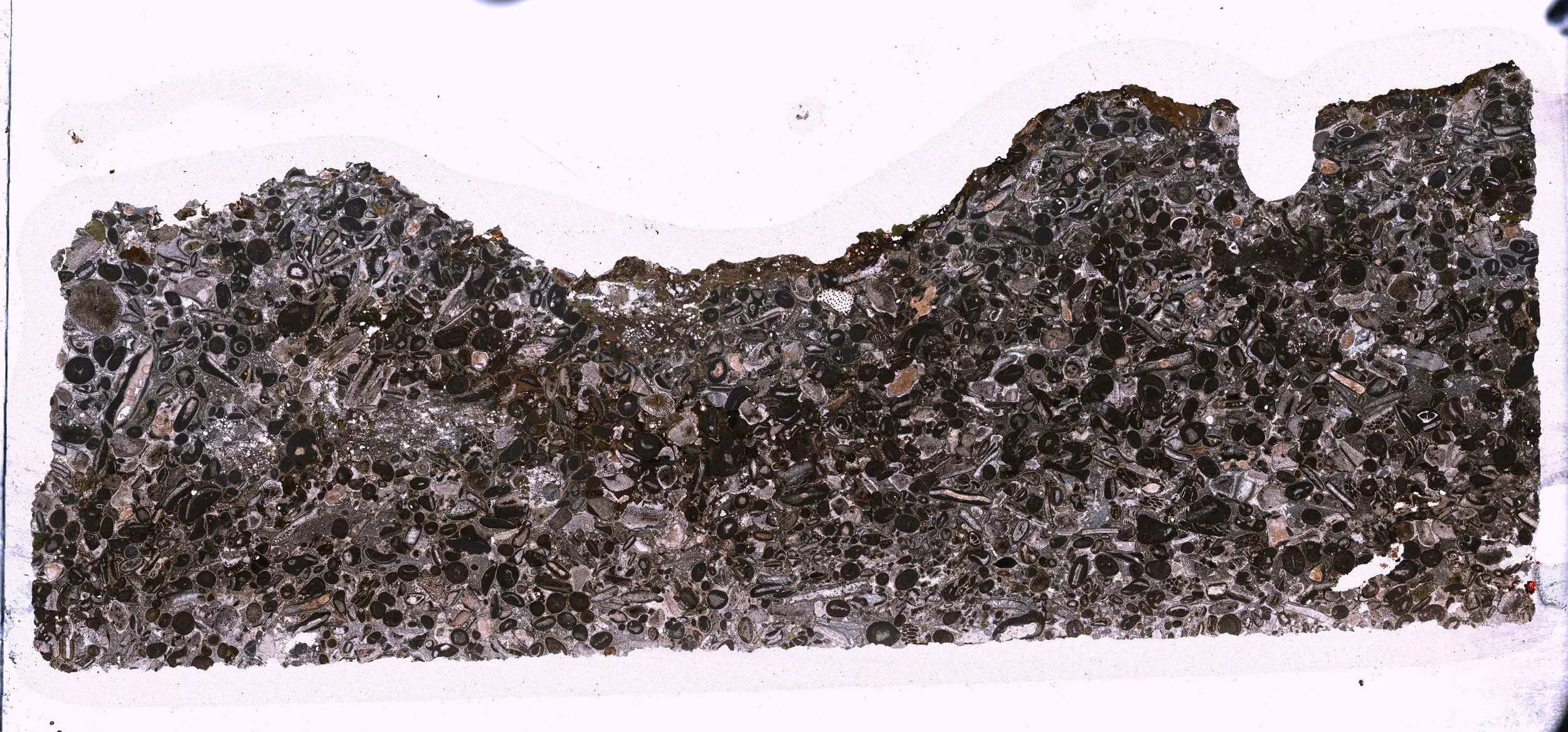 Uttins hardground, Eclepens, Switzerland