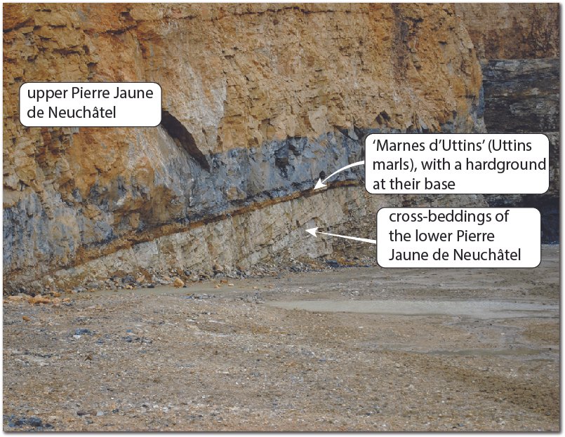 Overview of the Uttins hardground in the Eclepens quarry, Switerland