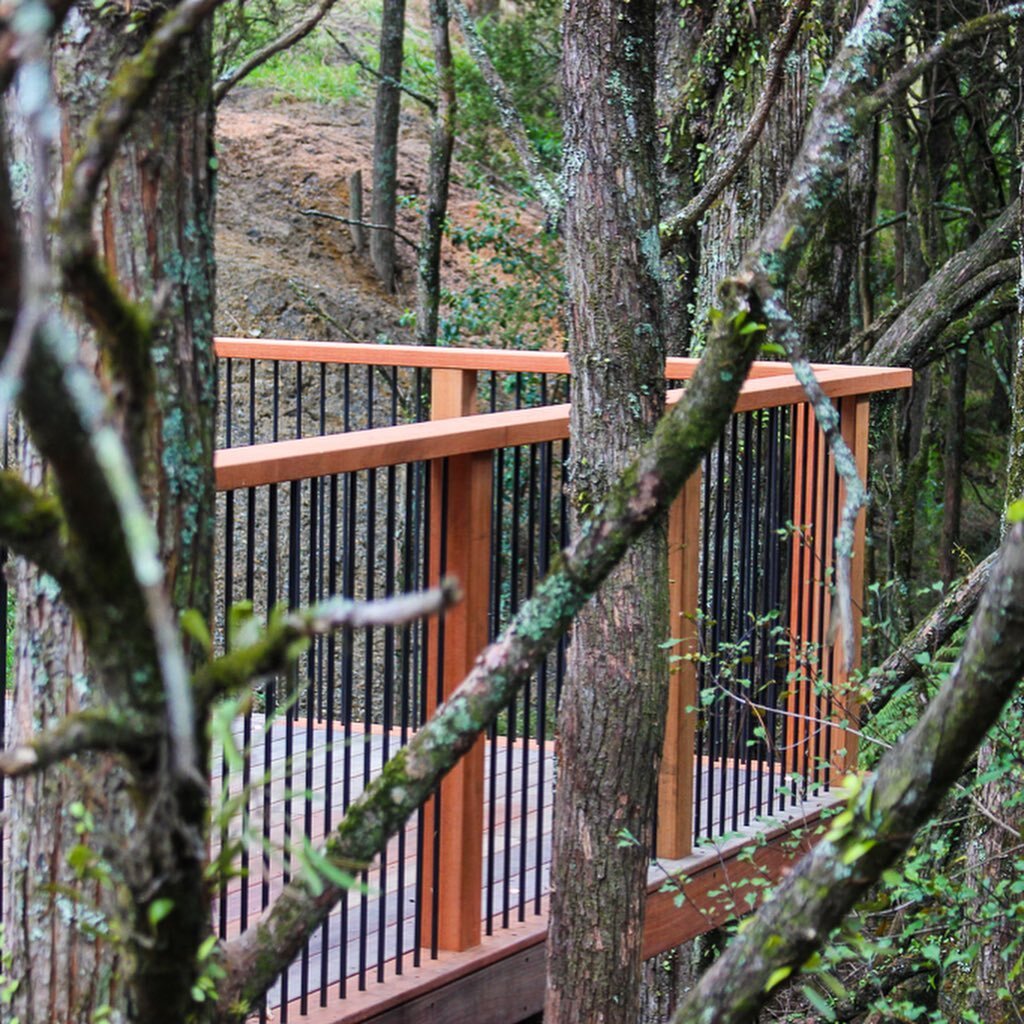 This custom deck railing is made from powdercoated aluminium contrasted with Saligna Timber (a NZ grown gum).
Nestled among the trees this will only get better with age as the timber silvers.

Contact us today to discuss how we can bring your design 
