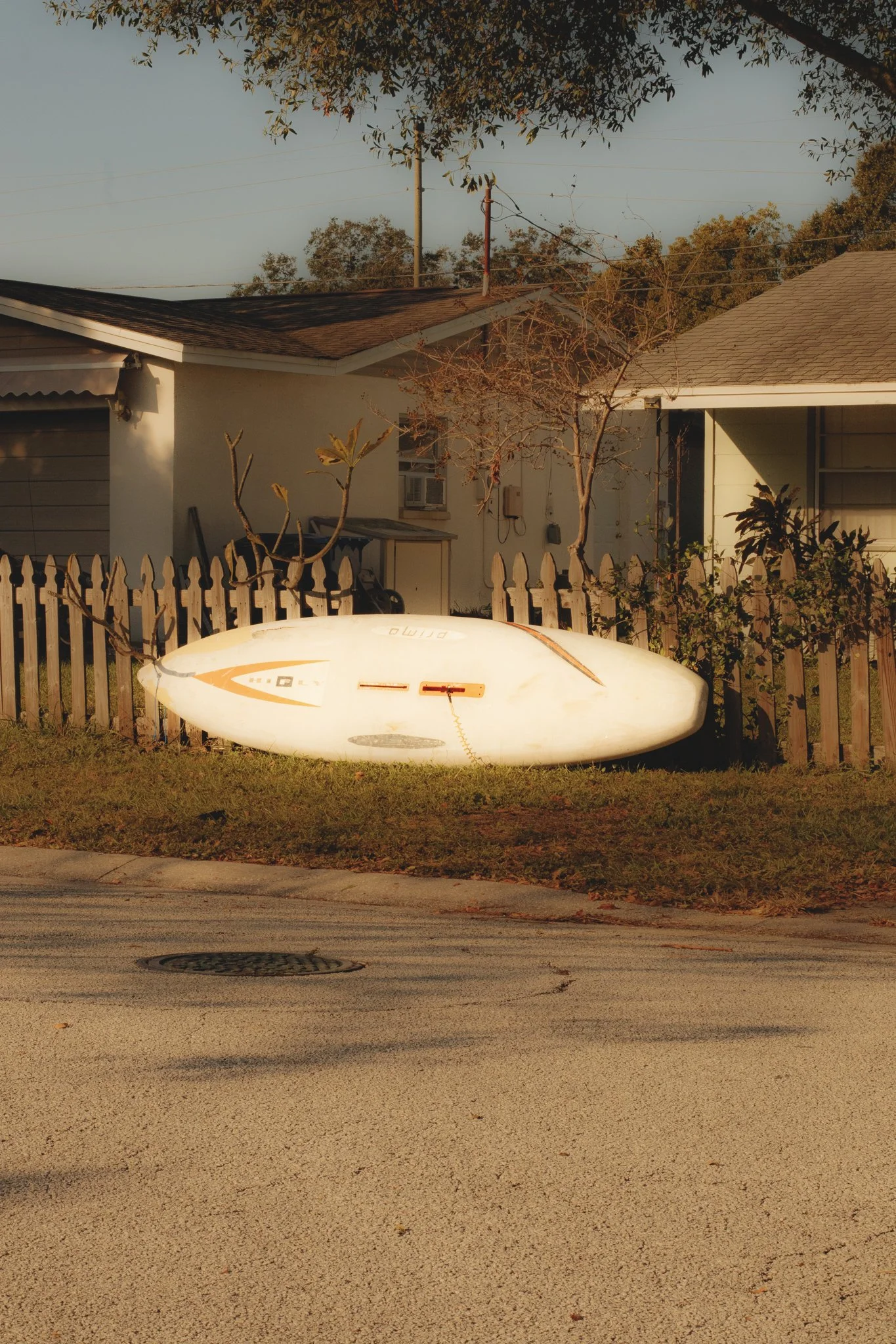 Tampa-58.jpg