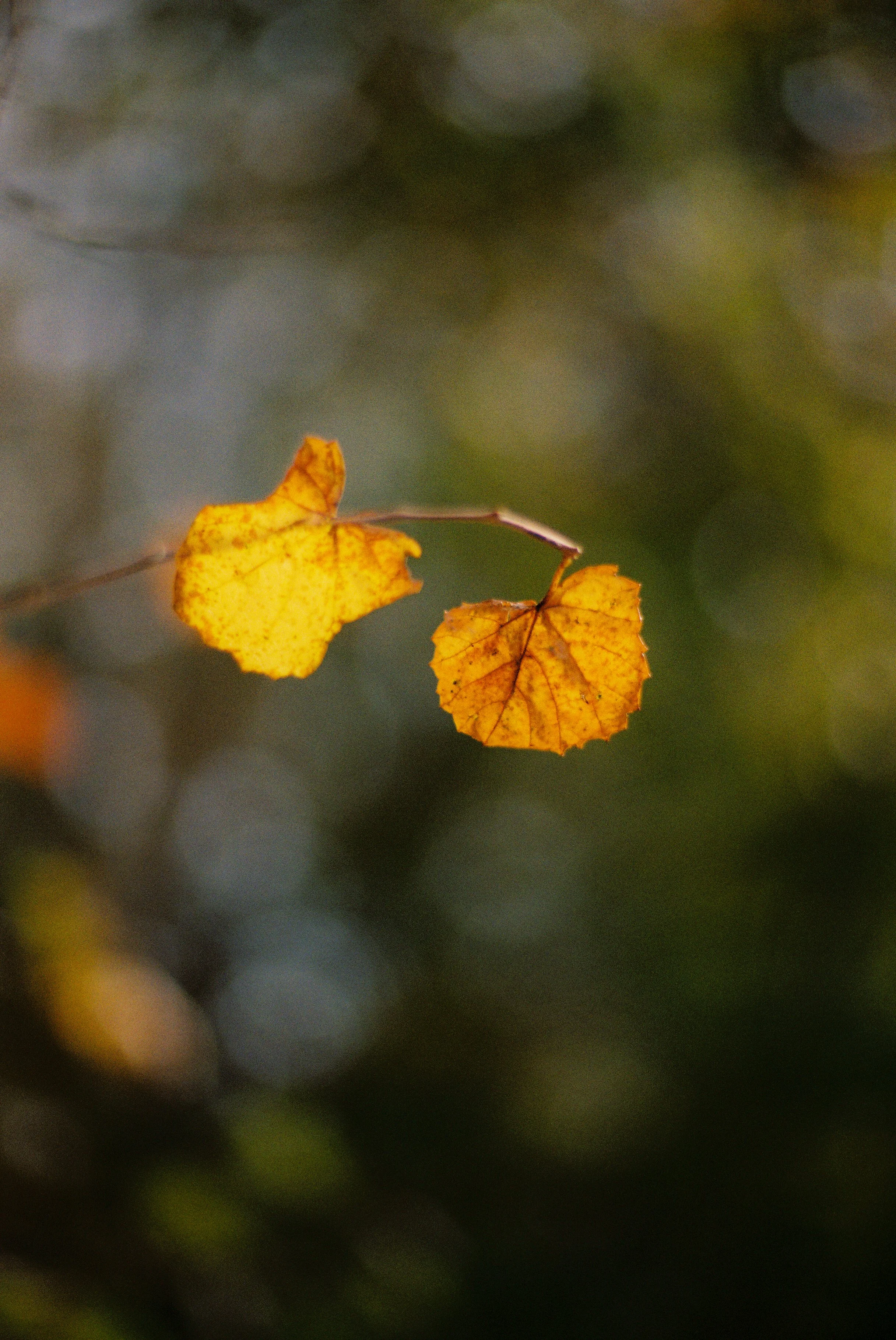November 25th-132.jpg