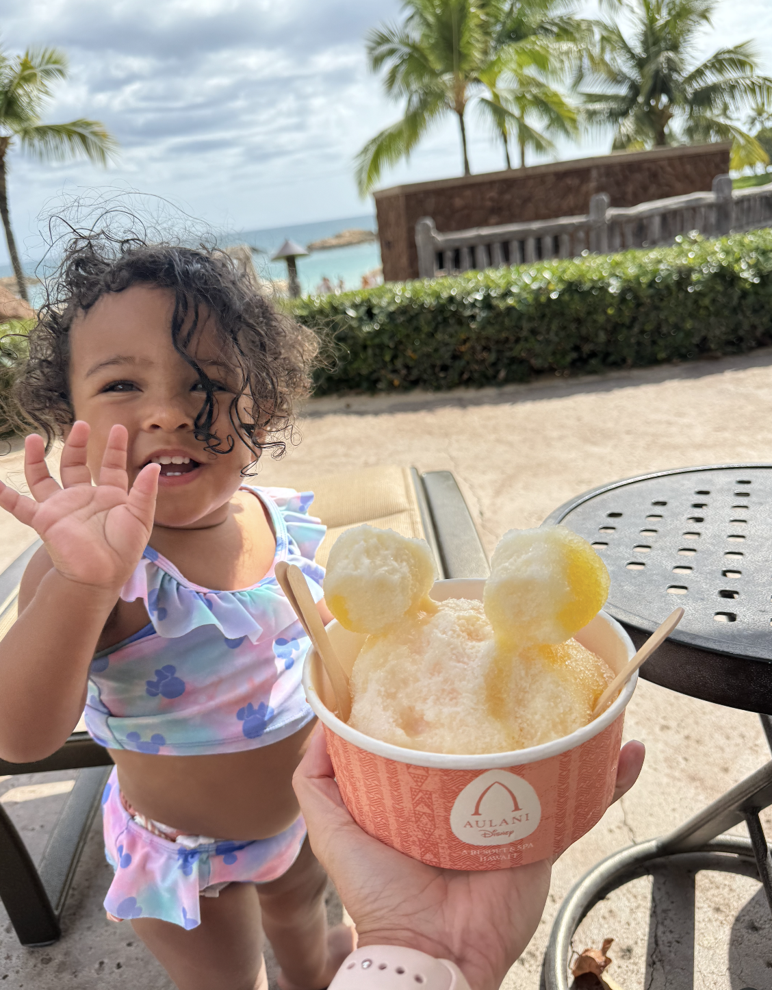 Screenshot 2026-01-29 at 10.57.15 AM.png