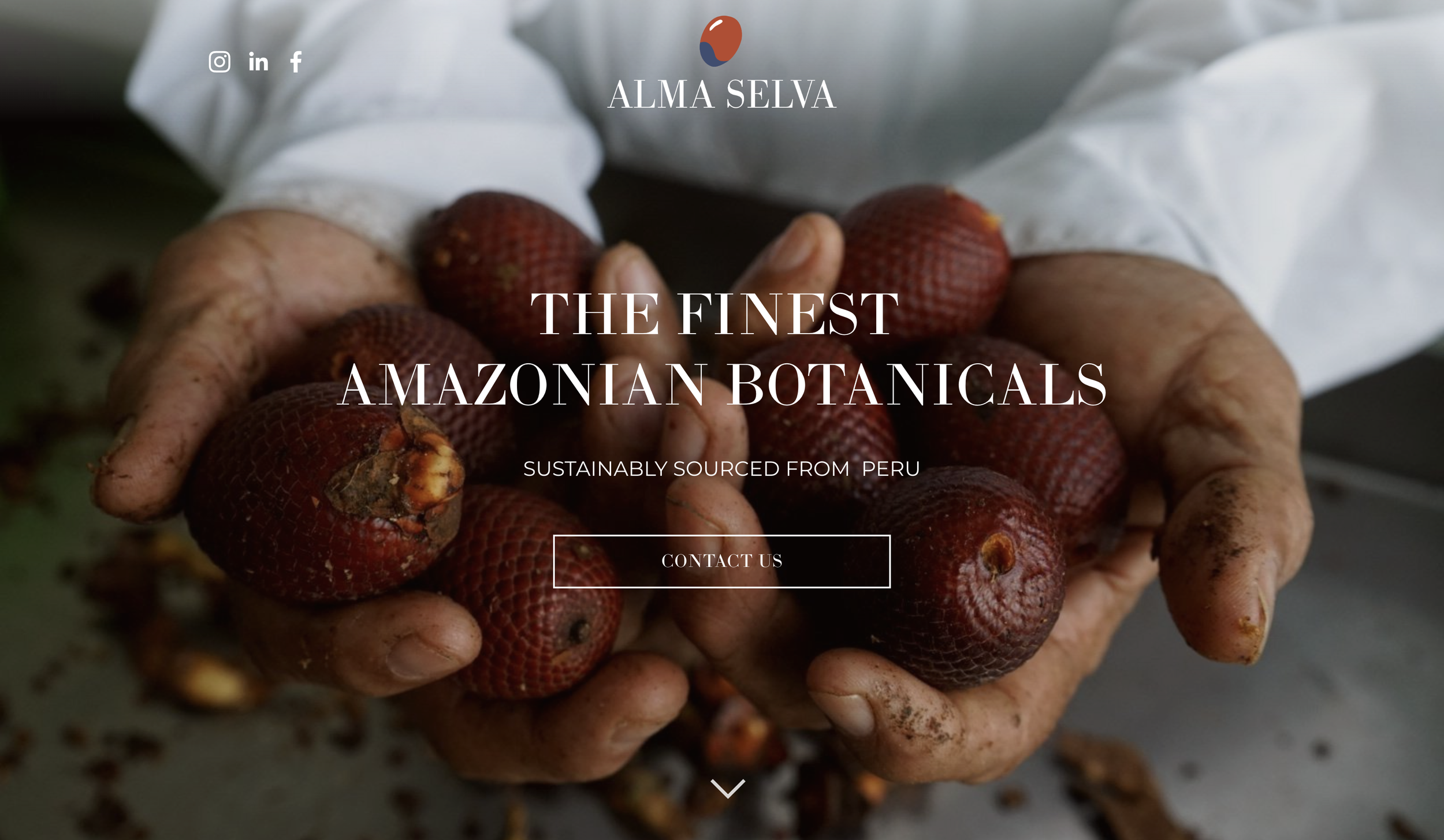 Alma Selva Wholesaler website.png