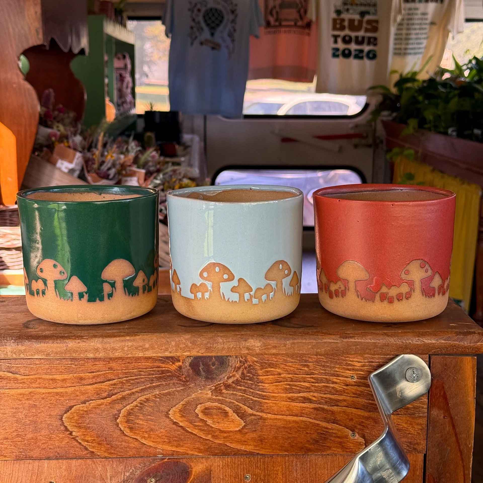 Mushroom Pot
