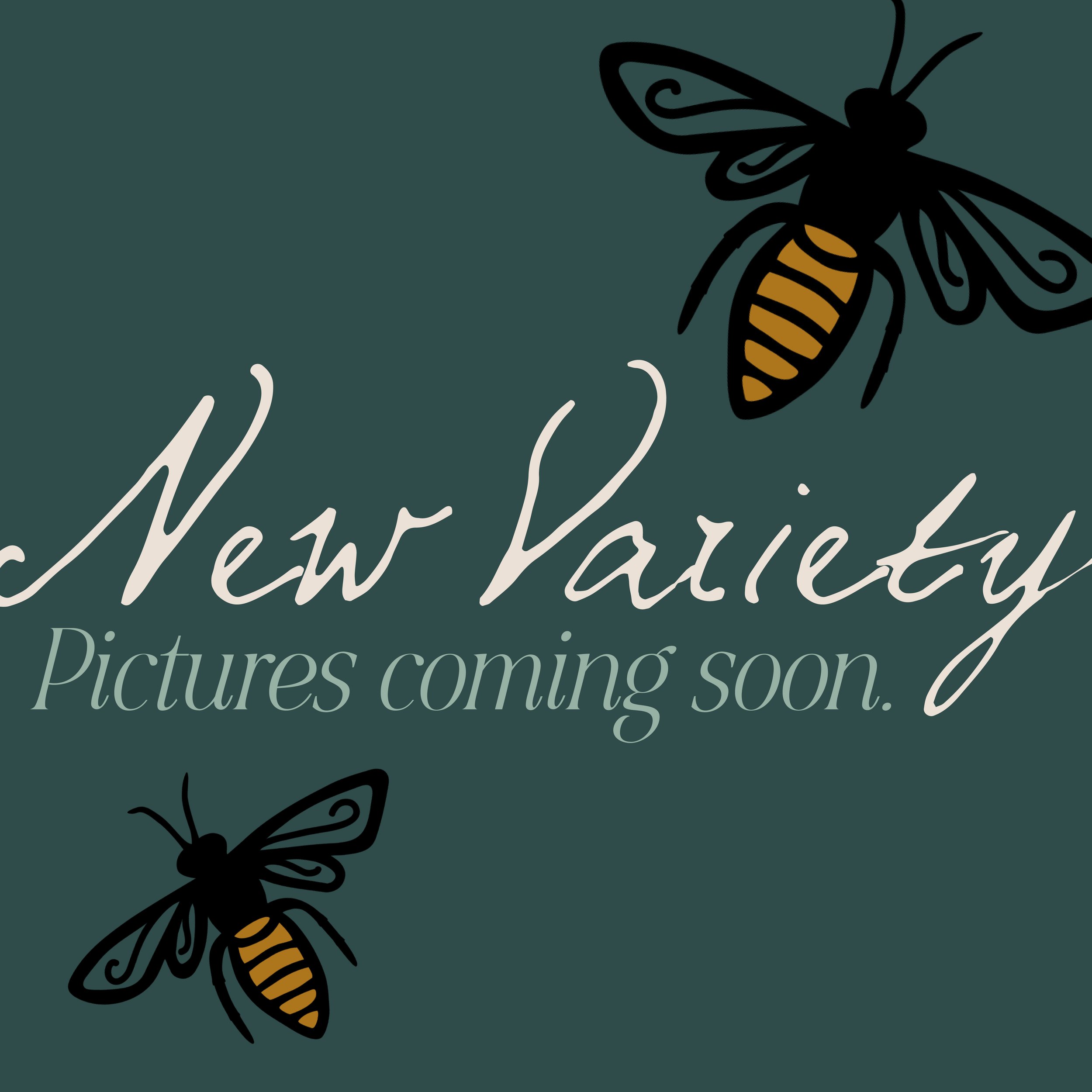 New Variety Graphic.jpg