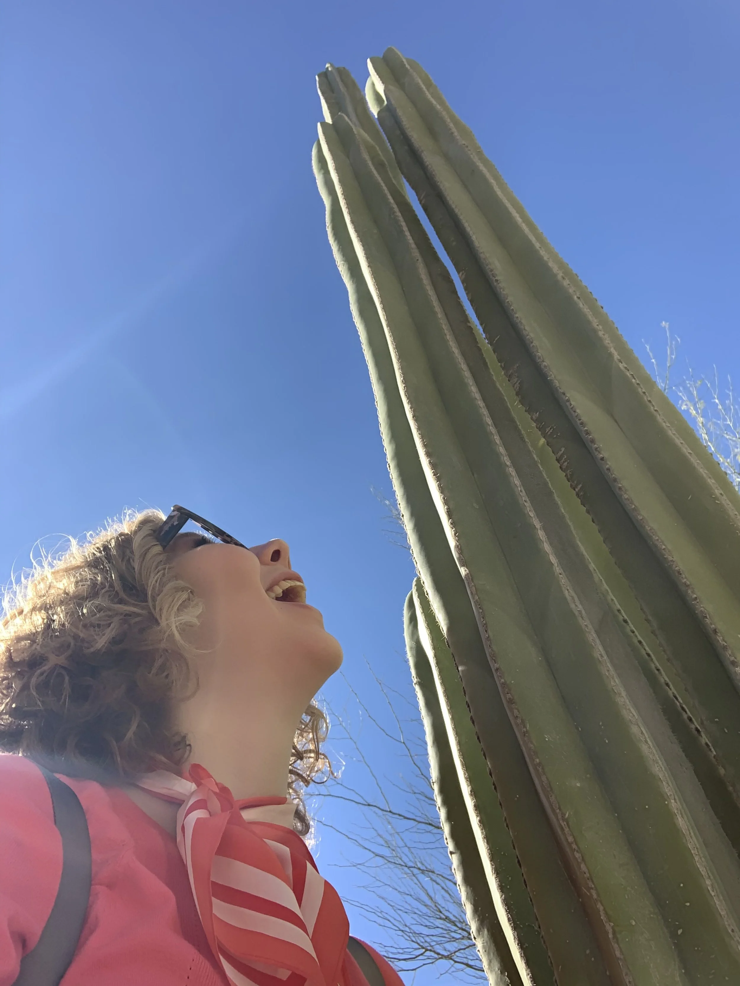 Dessert Botanic Garden