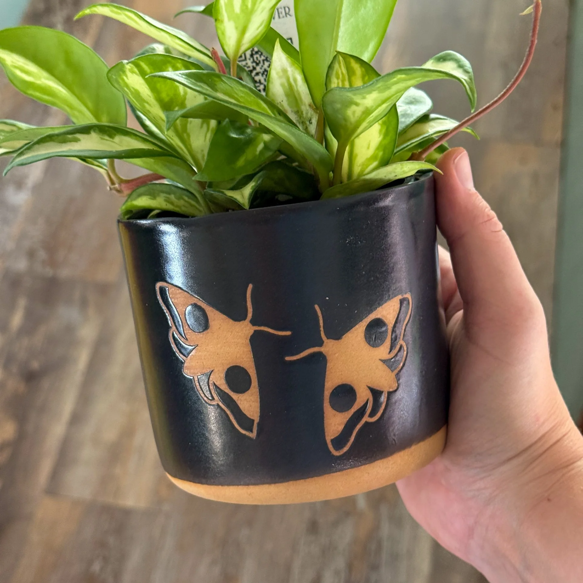 Moth Pot