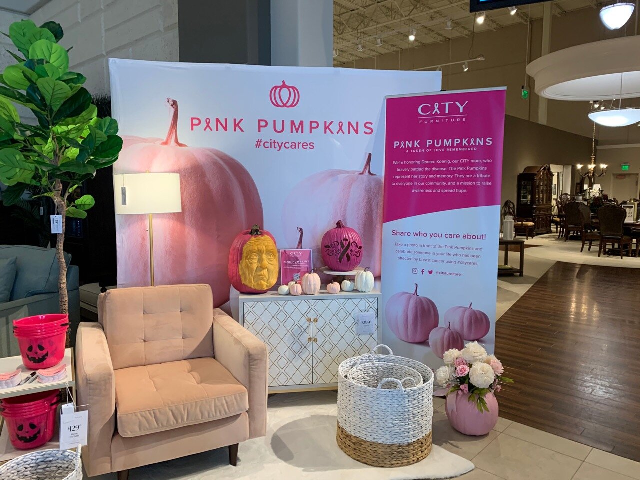 Pink Pumpkins CITY Furniture display.jpeg