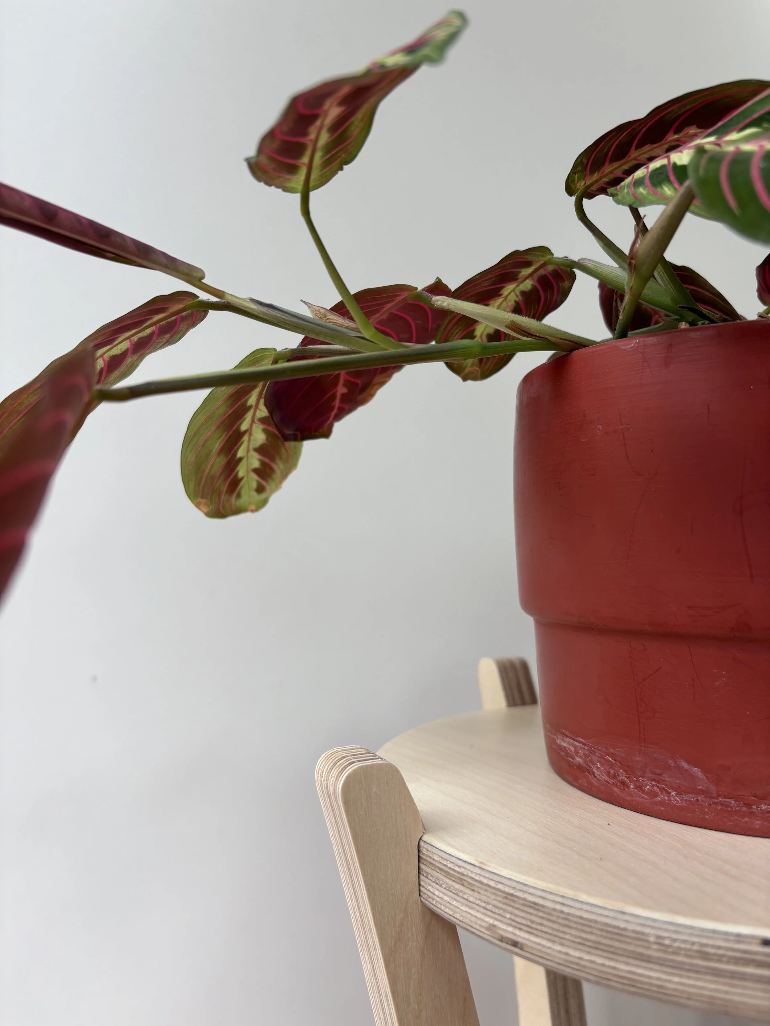 Plant Stands Detail 03.jpg