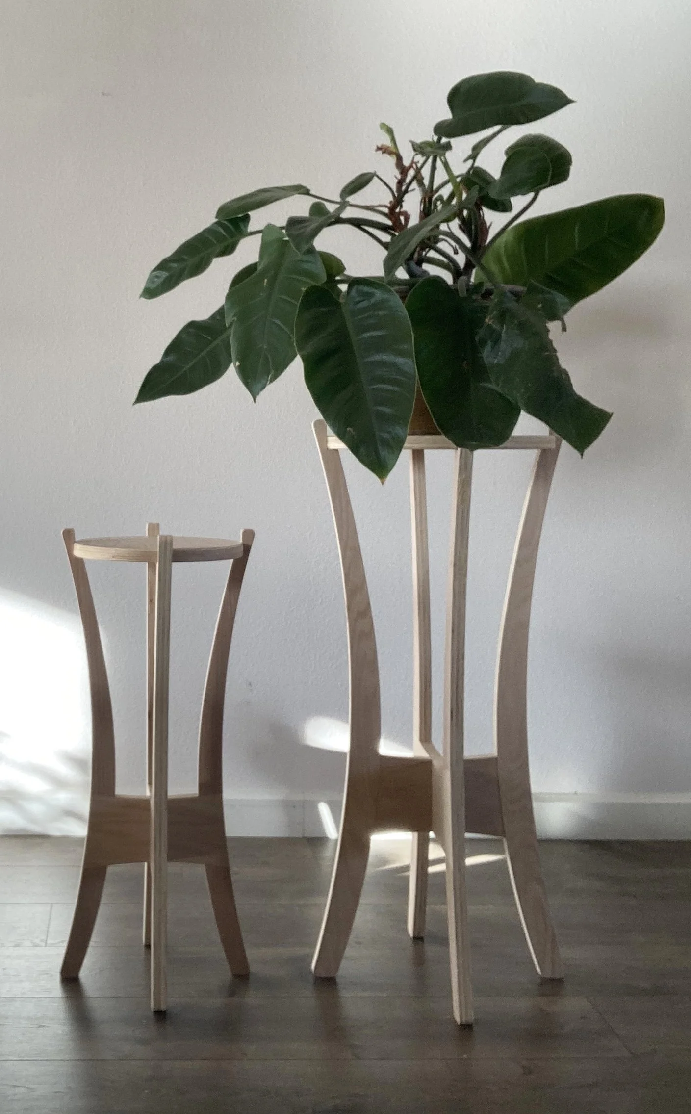 Plant Stands 01.jpg