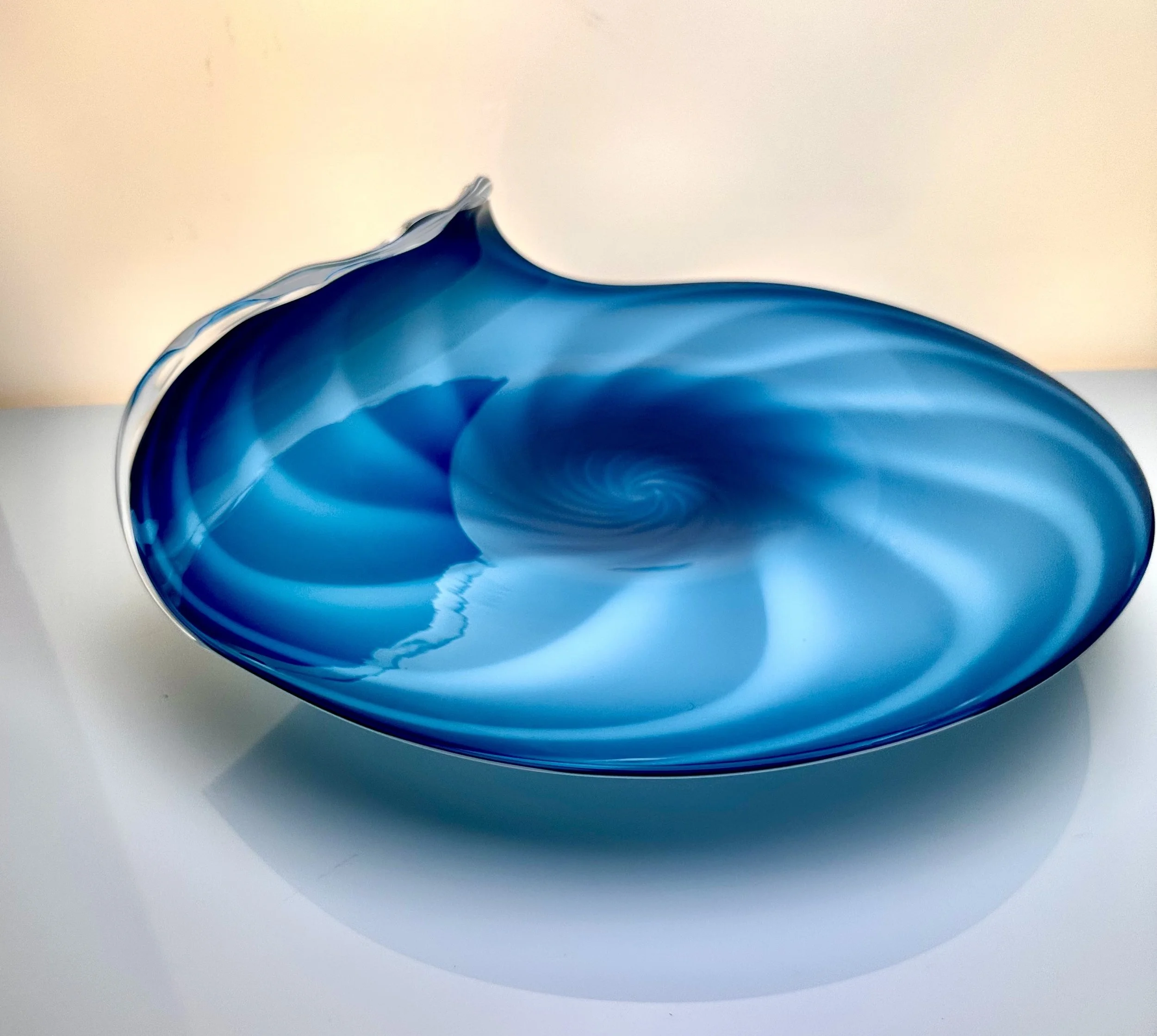 Wave plate.jpeg