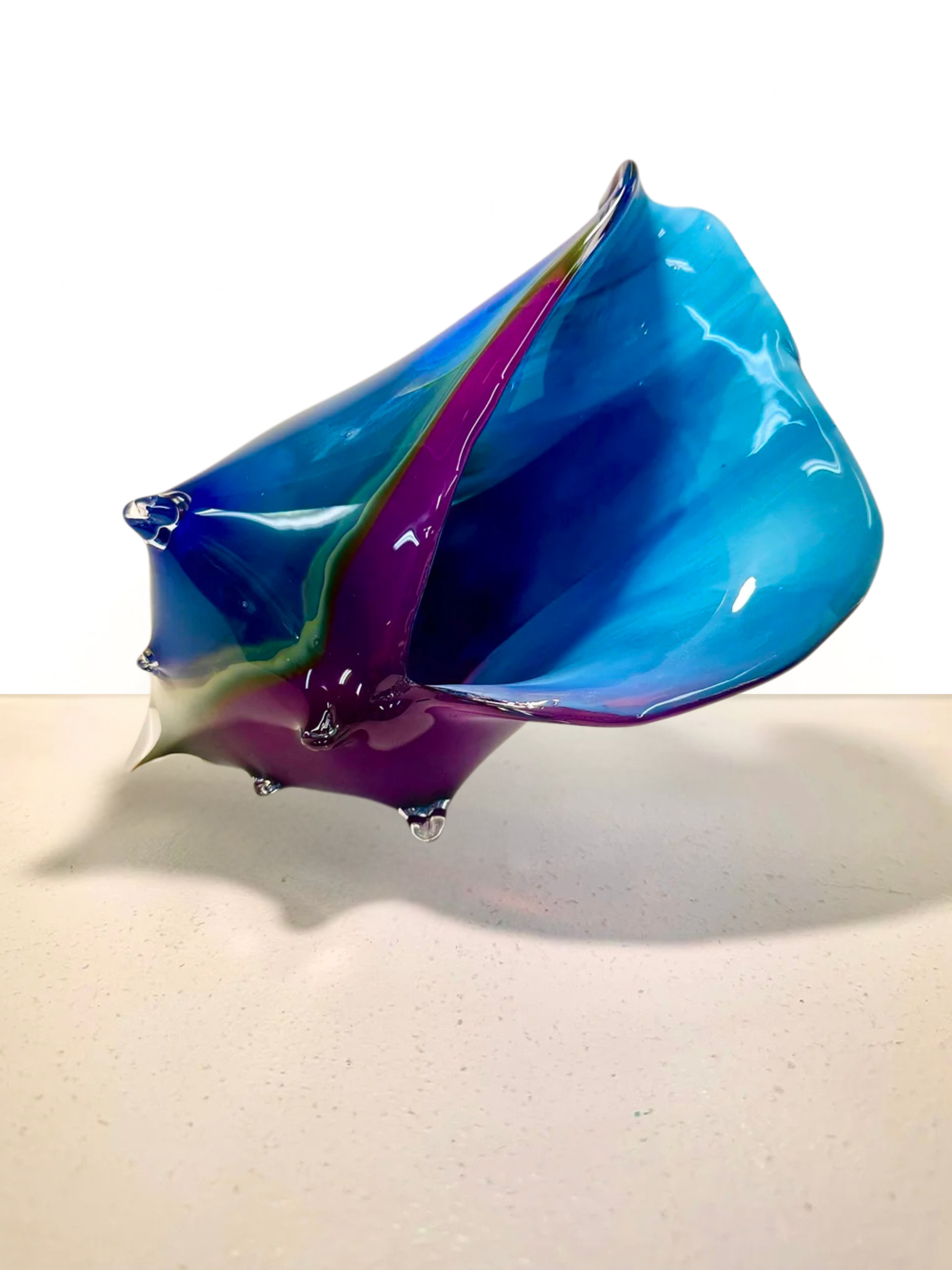 Large Sunset Conch