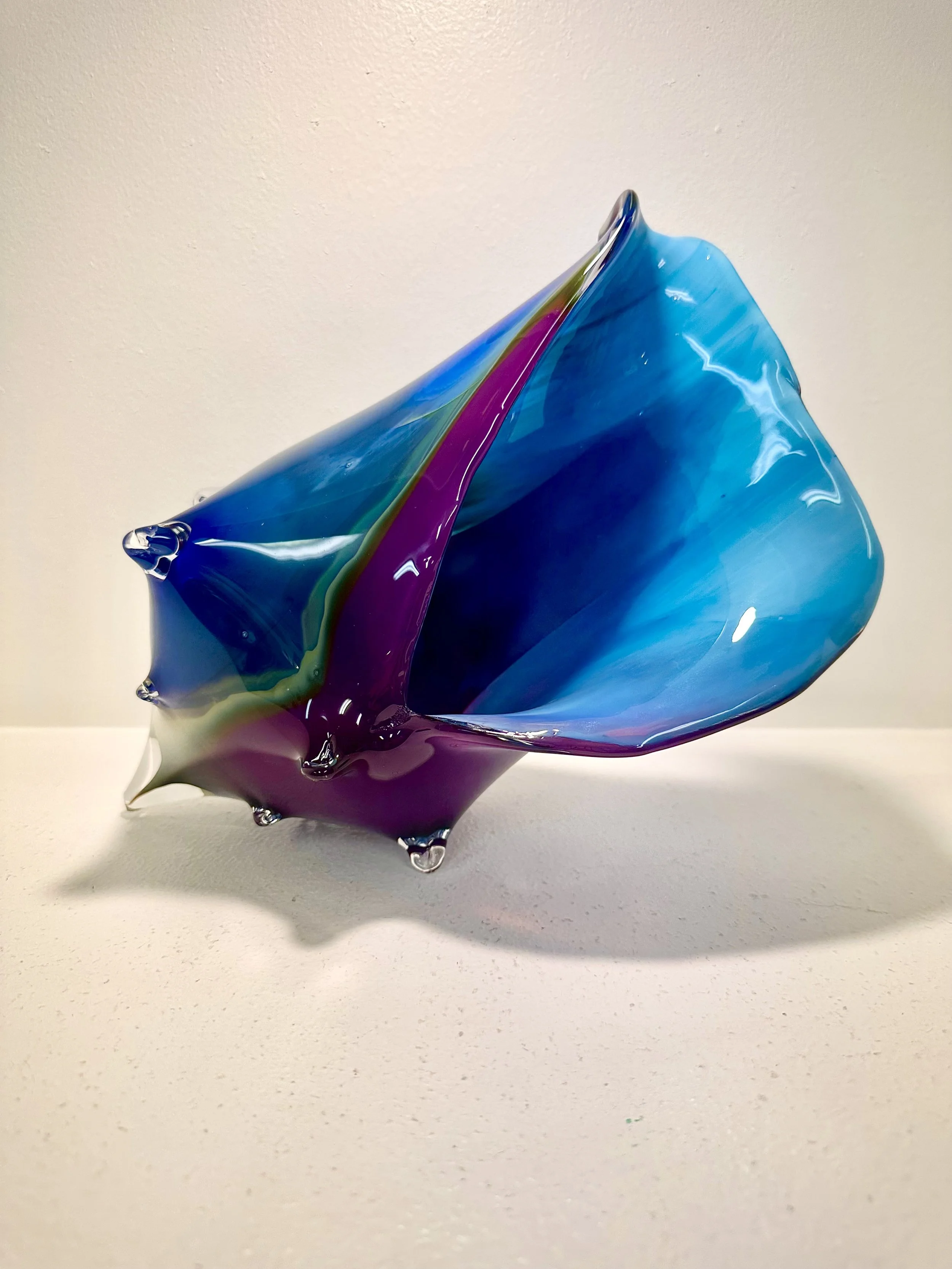 Large Sunset Conch Shell