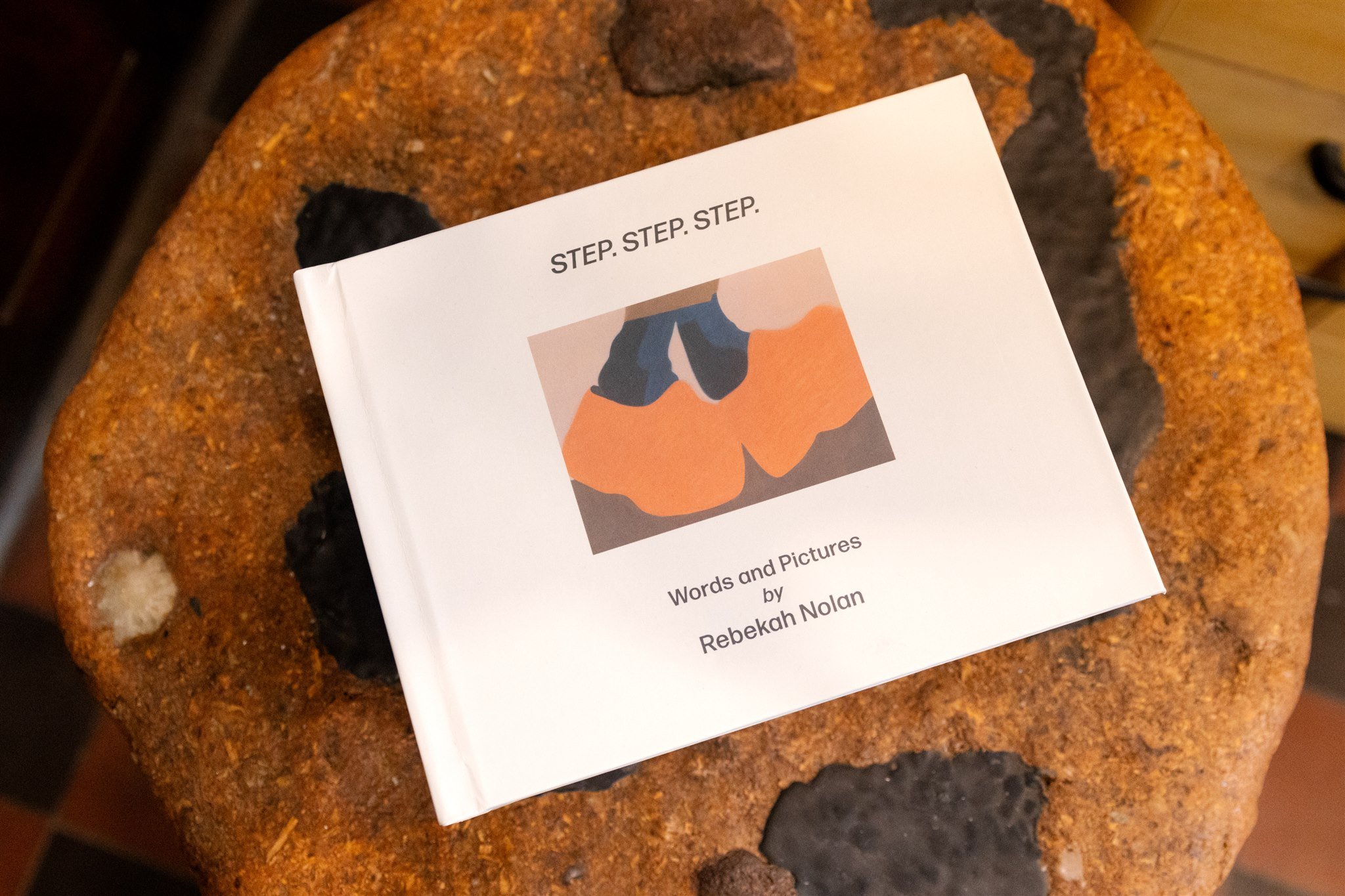 Copy of APD_20250426_COMPANION_STEPSTEPSTEP_Opening057.jpg