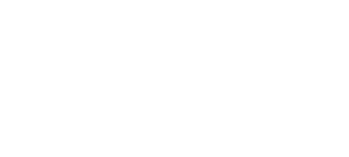 Hudson Lang