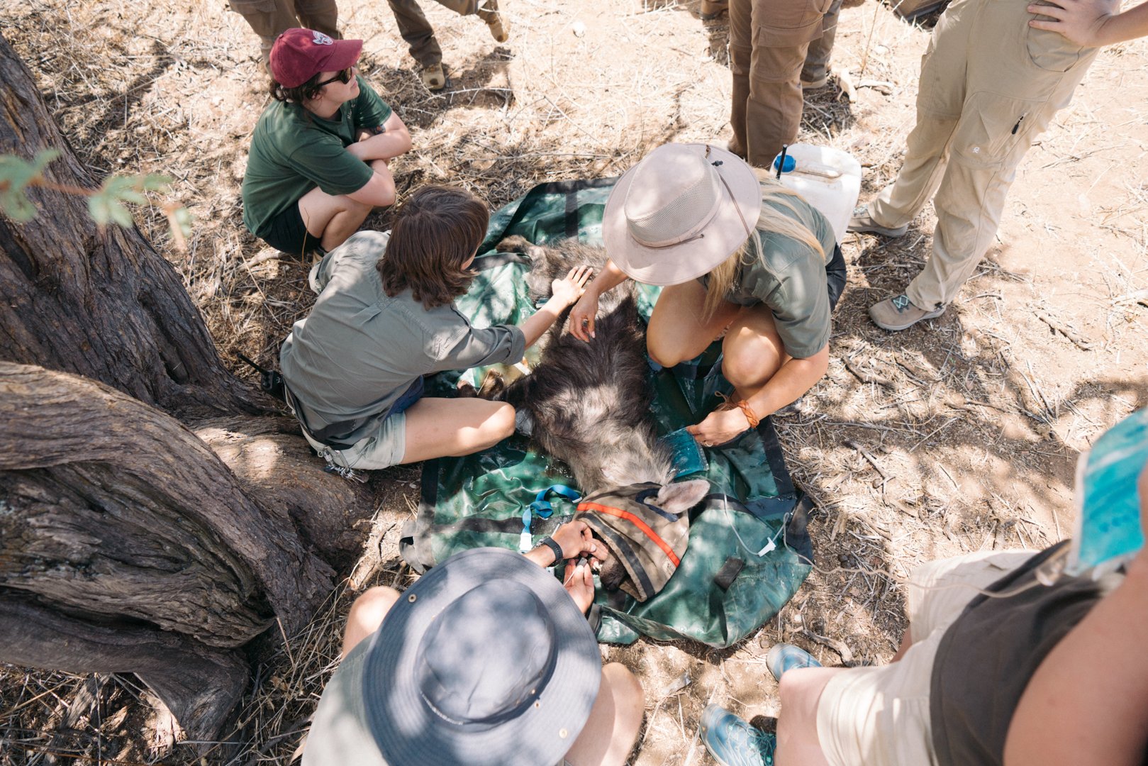 Zannier Final Images-51.jpg