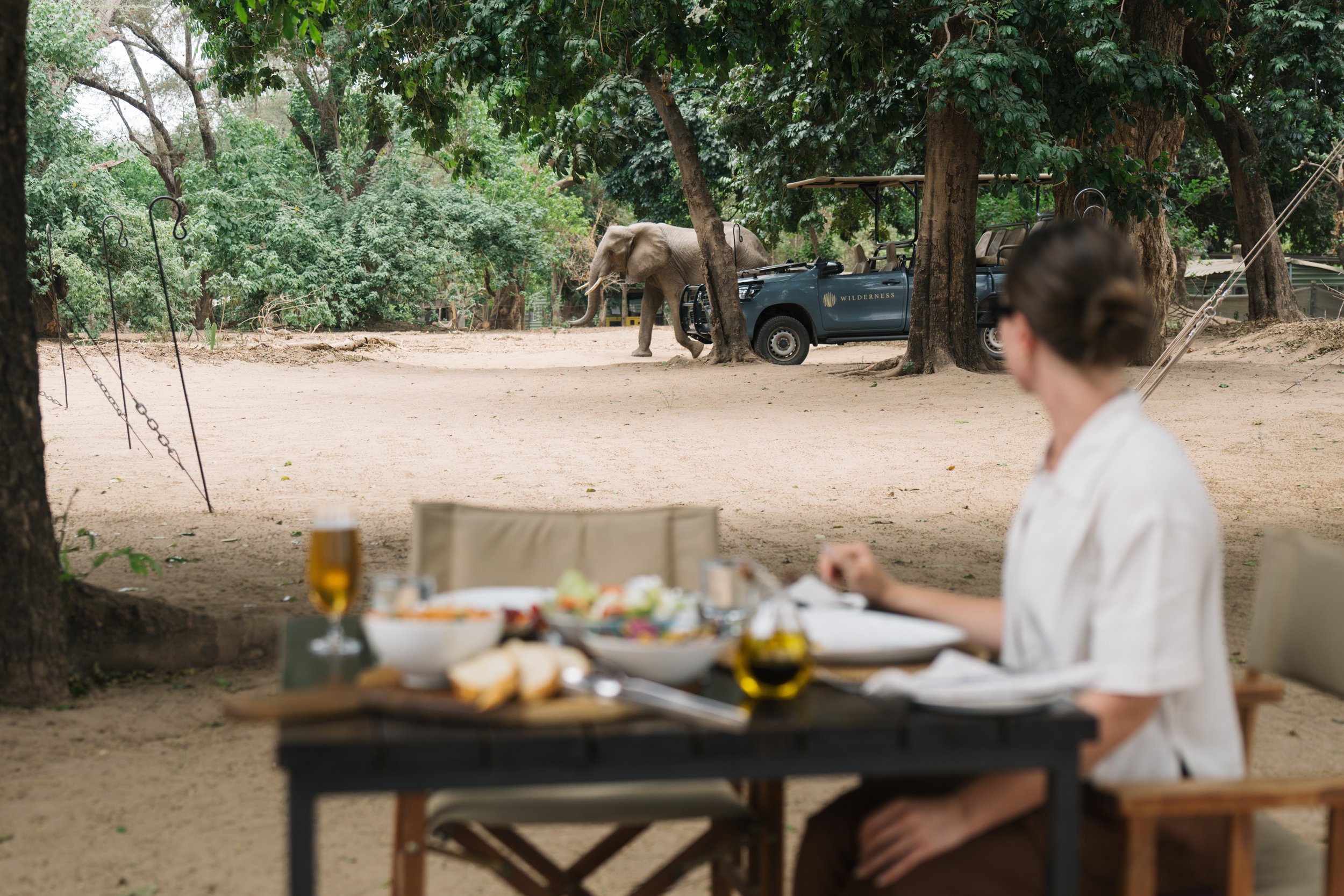 Wilderness Mana Pools Zimbabwe_11-25-A.Ling-66.jpg